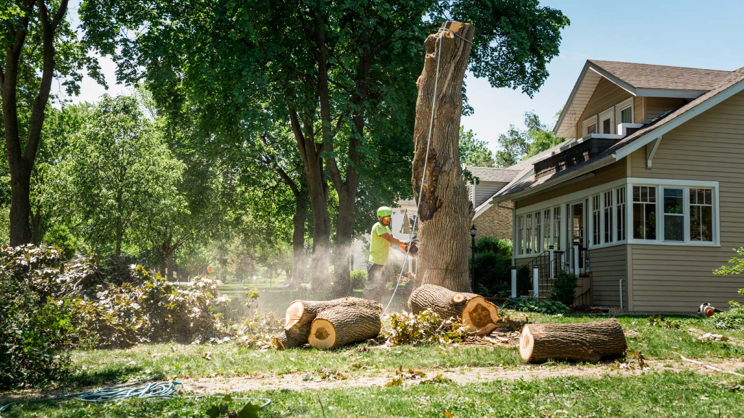Tree removal worker cutting a stump
