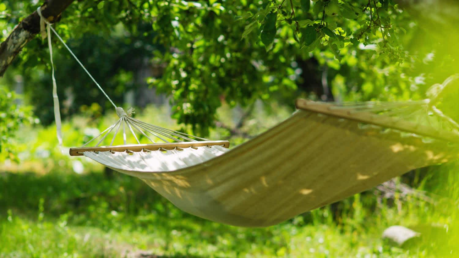 A garden with hanging hammock