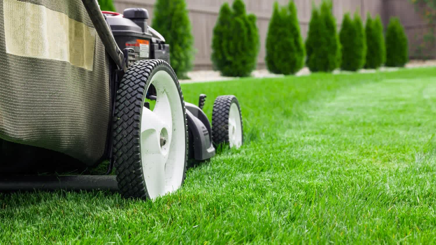 A lawn mower cutting green grass