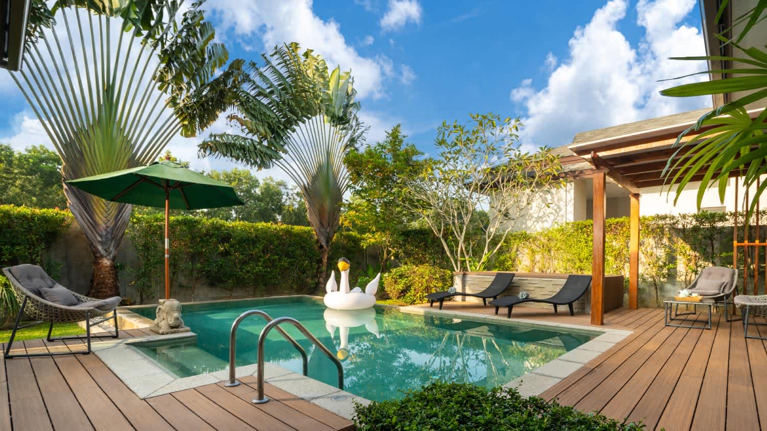 Swimming pool with a tropical garden