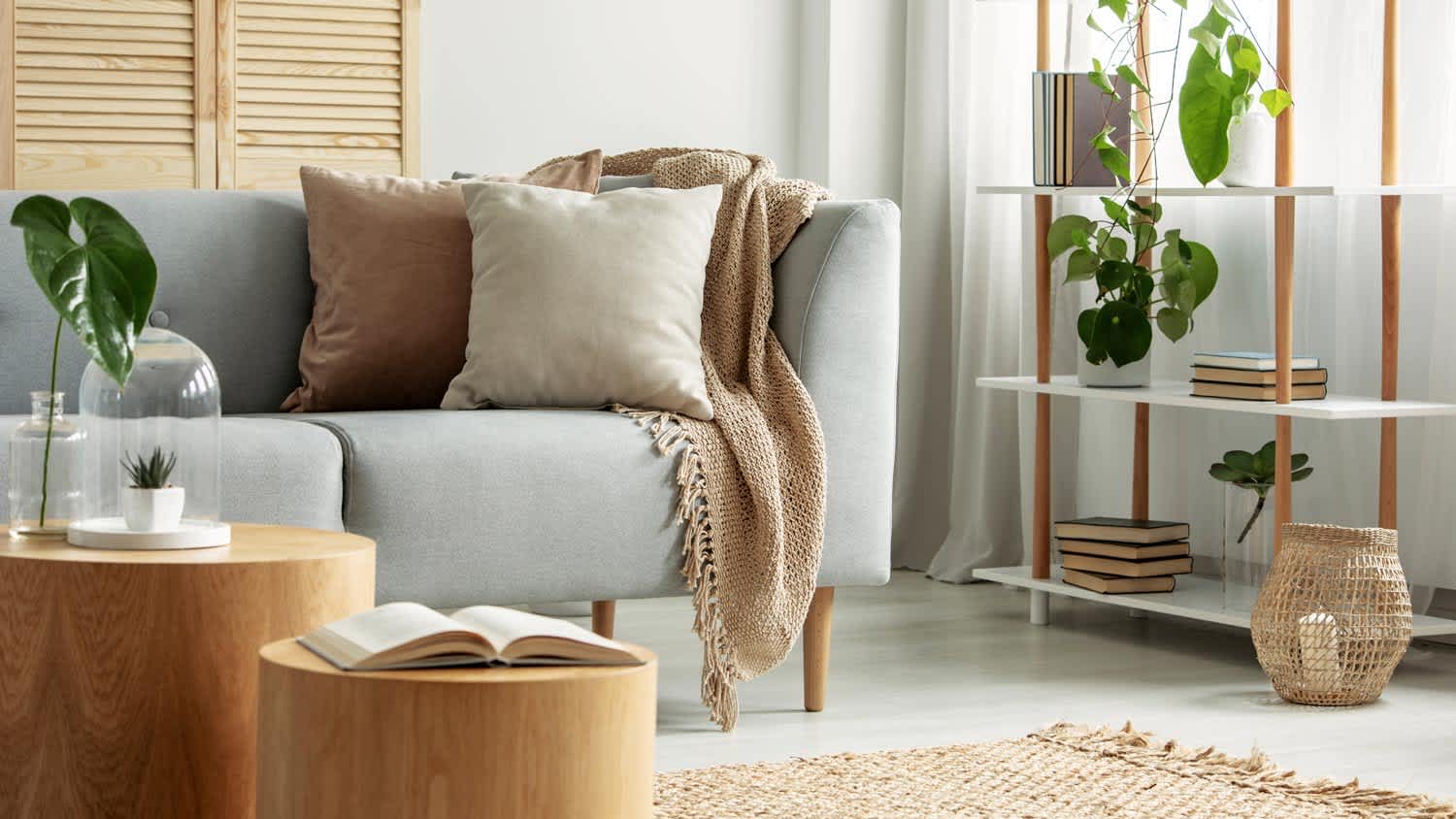 A bright and cozy living room