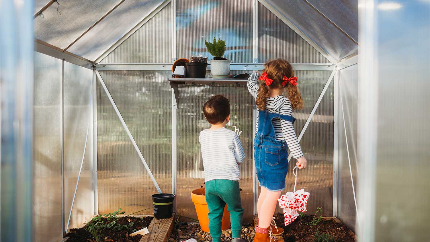 Children playing inside greenhouse