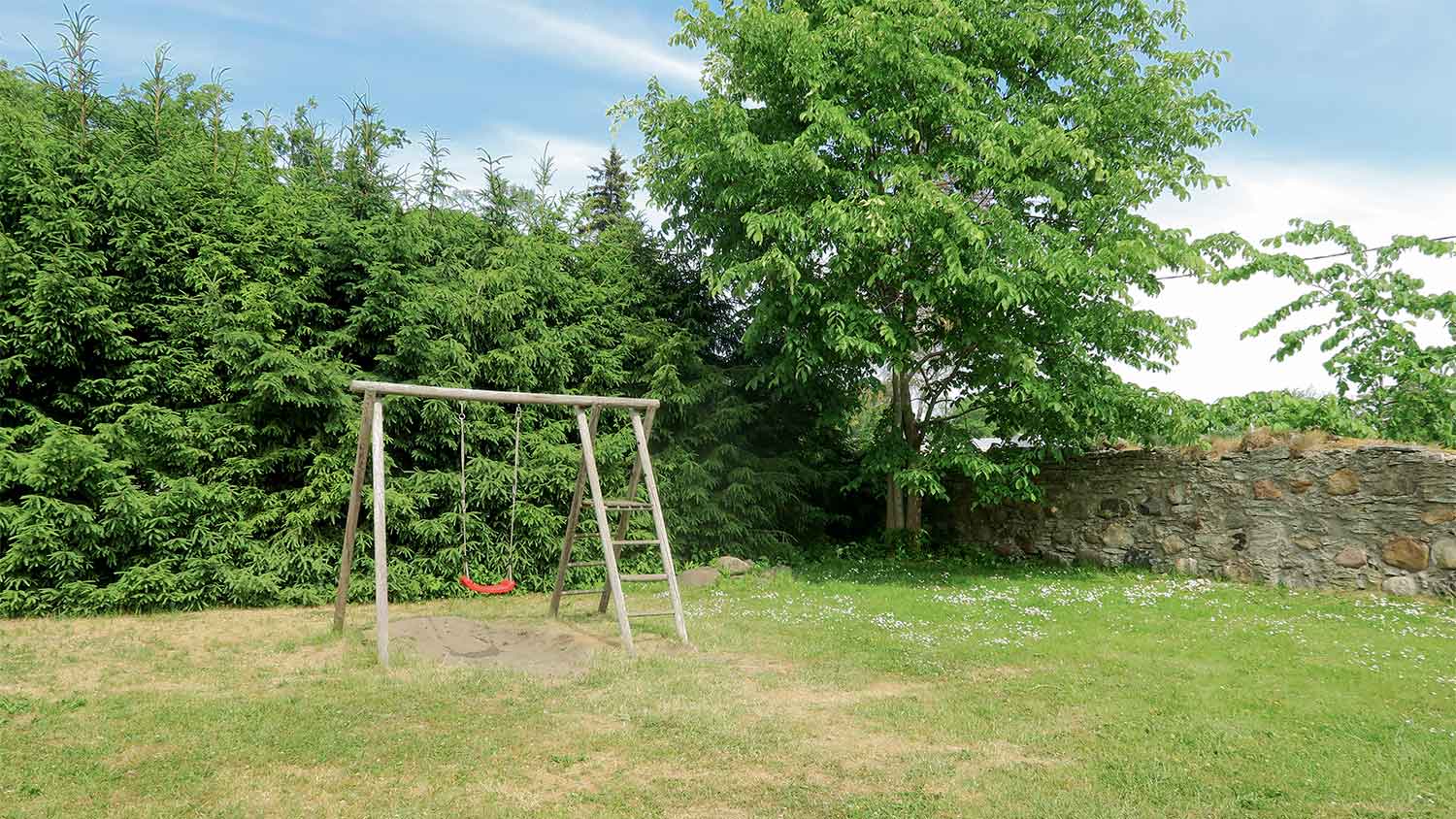 Swing and trees in backyard