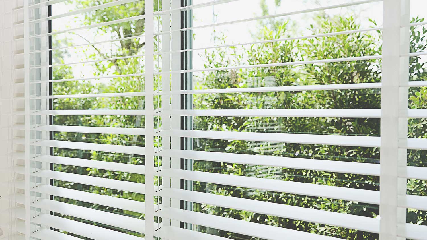 White venetian blinds in large window