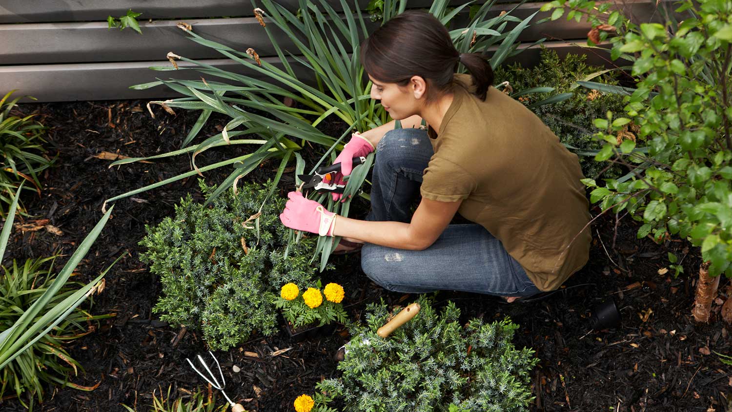 Woman using pruning shears in her garden