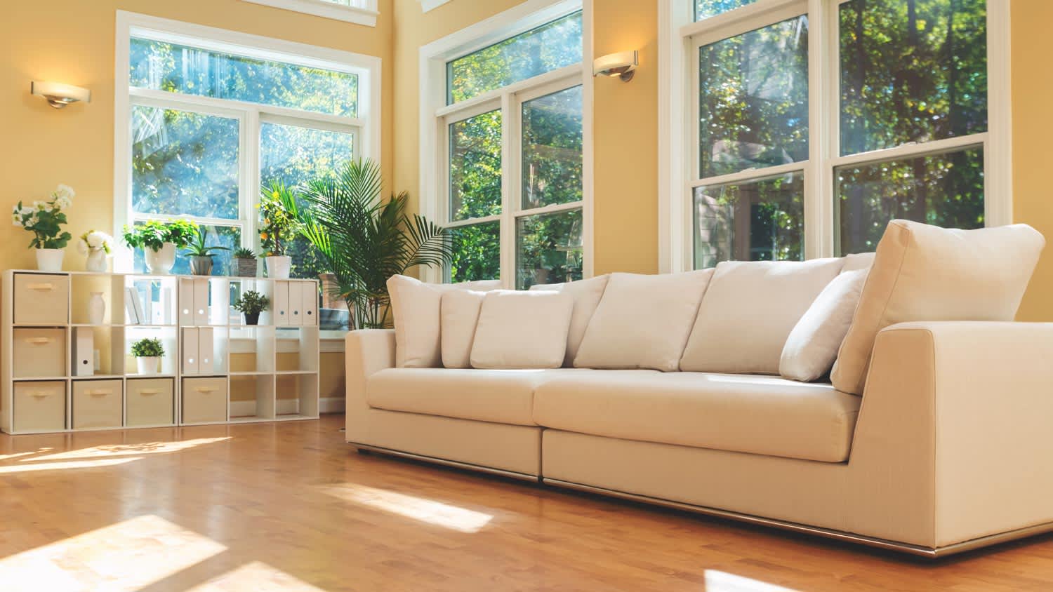 A sunlit living room with large windows