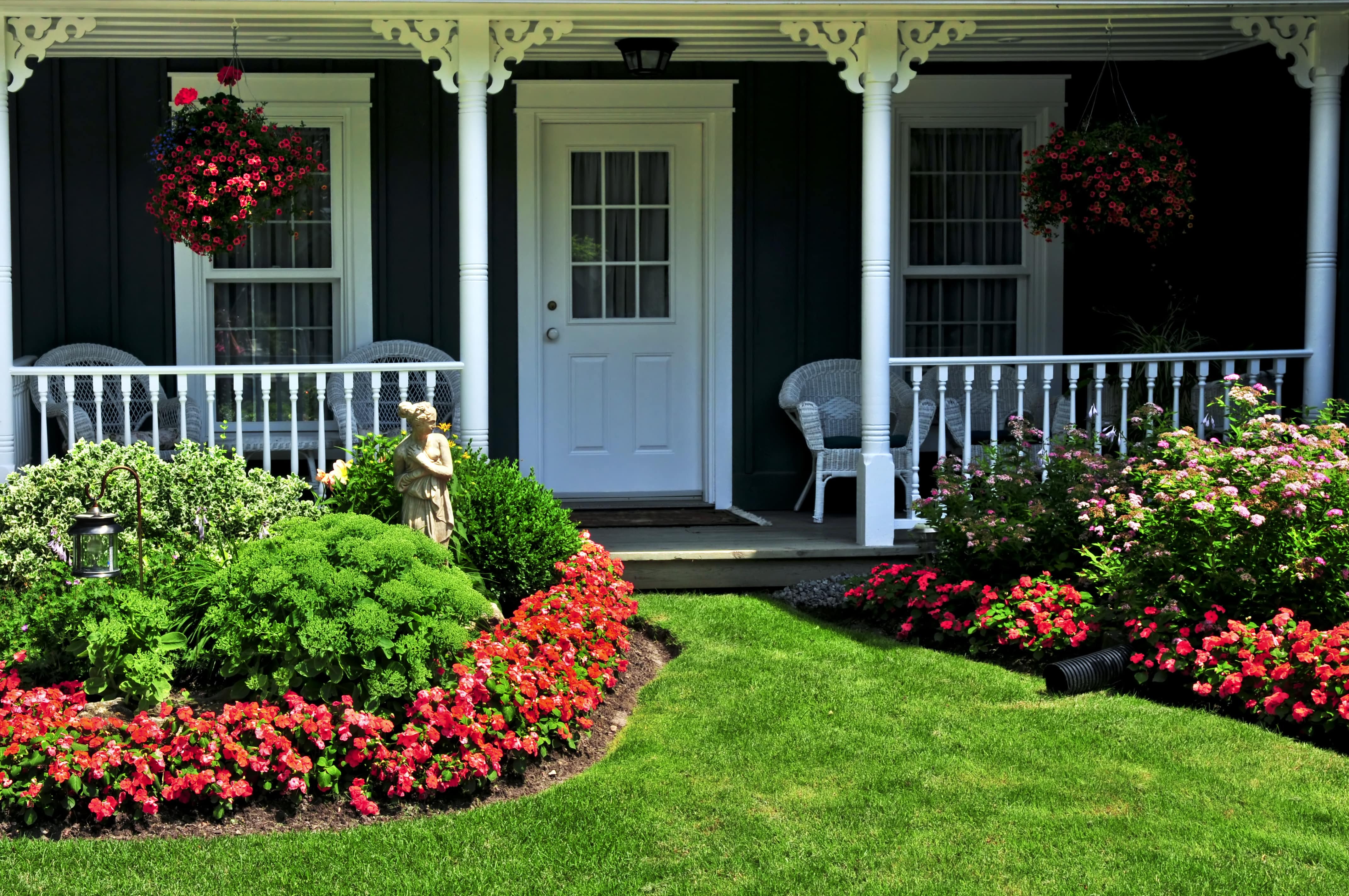 Bright red flower bed in front of a blue house with white trim