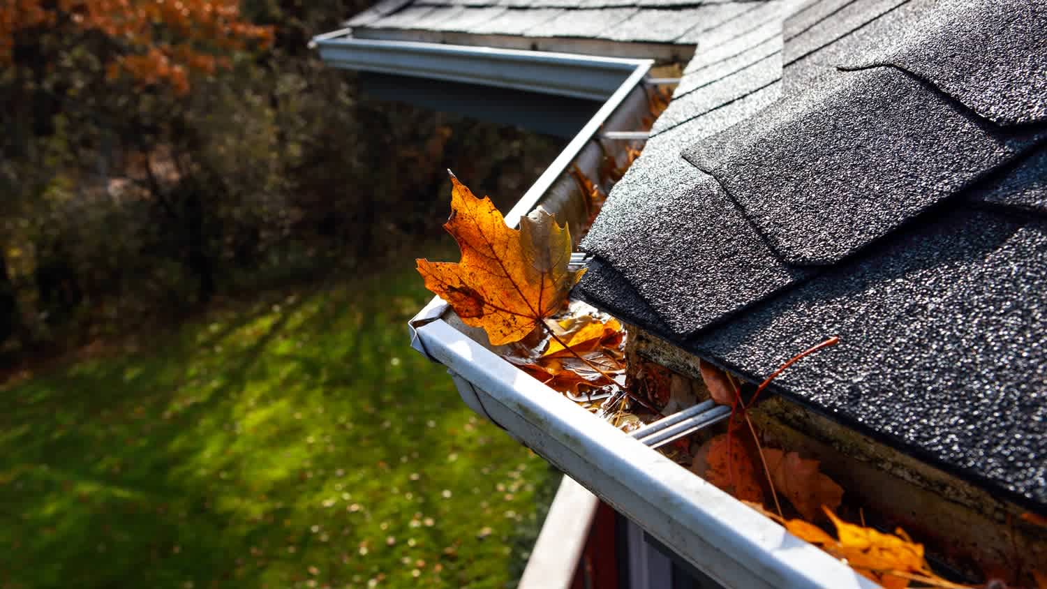 A gutter filled with autumn leaves
