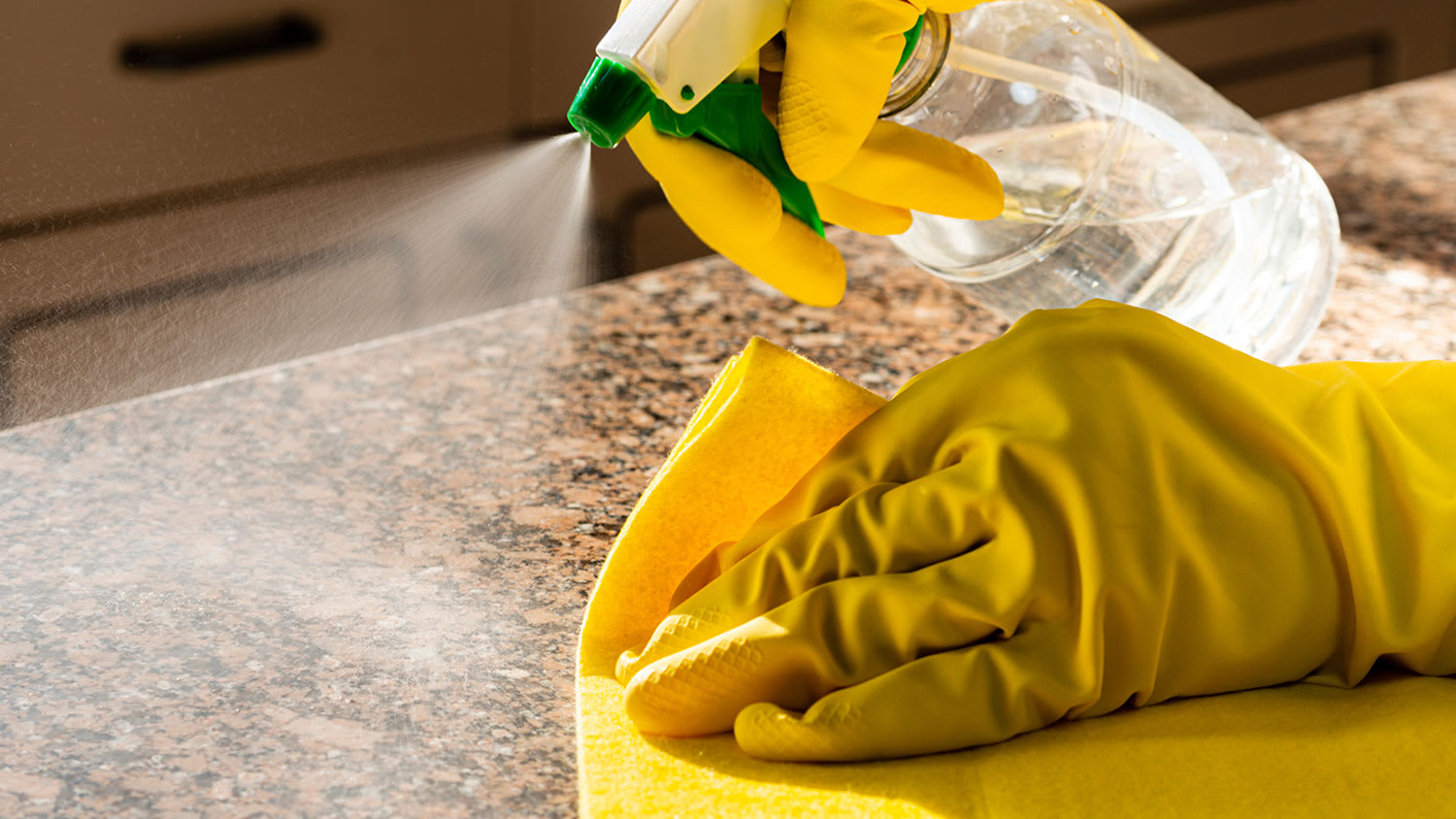Hands cleaning countertop
