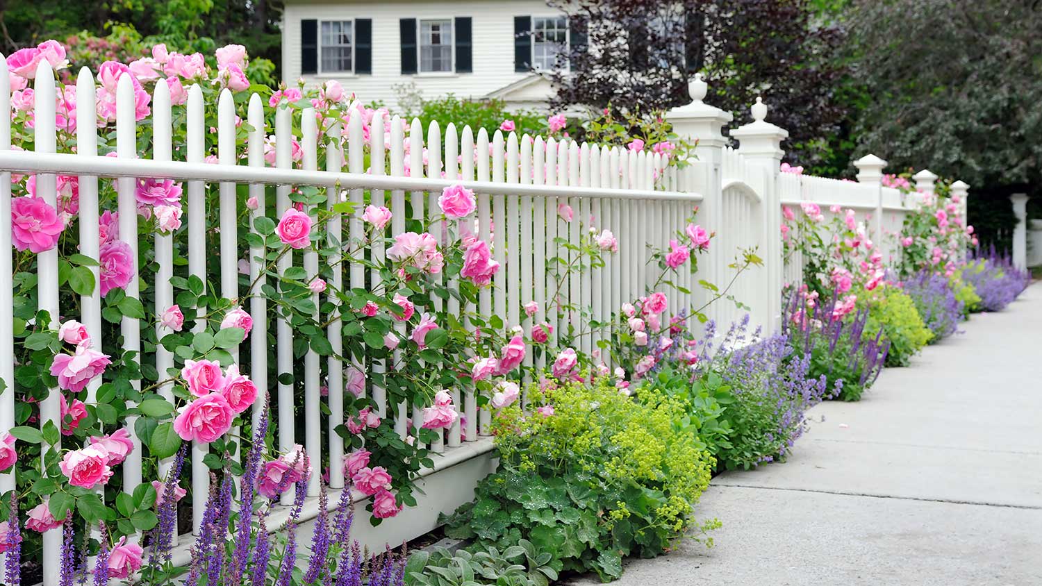 House with white fence and colorful flowers