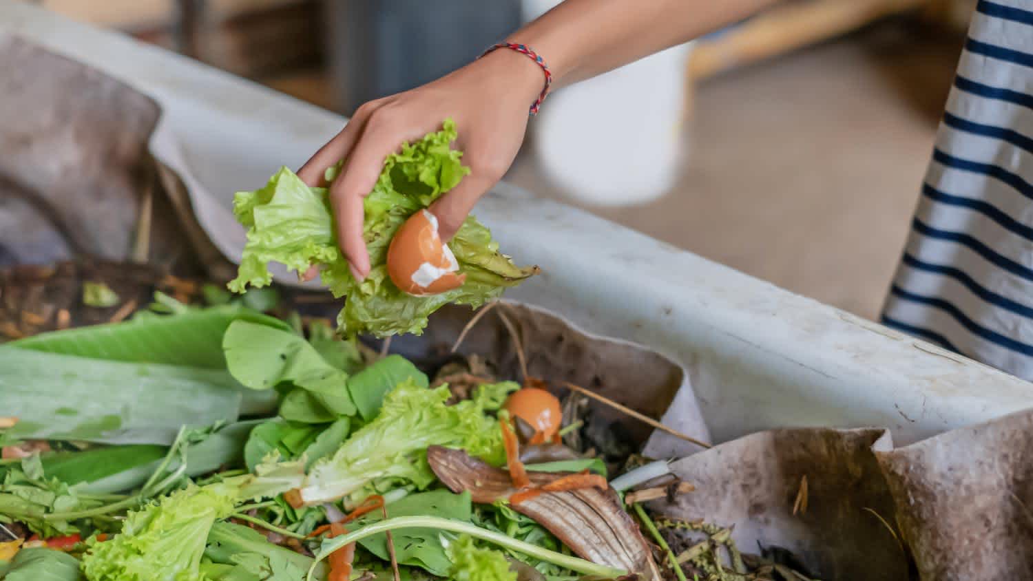 A woman composting kitchen waste