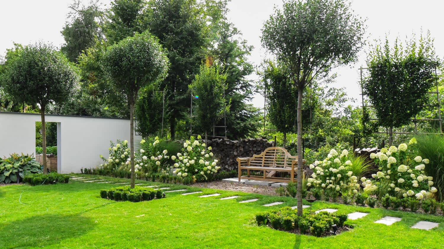 Beautiful backyard with trees