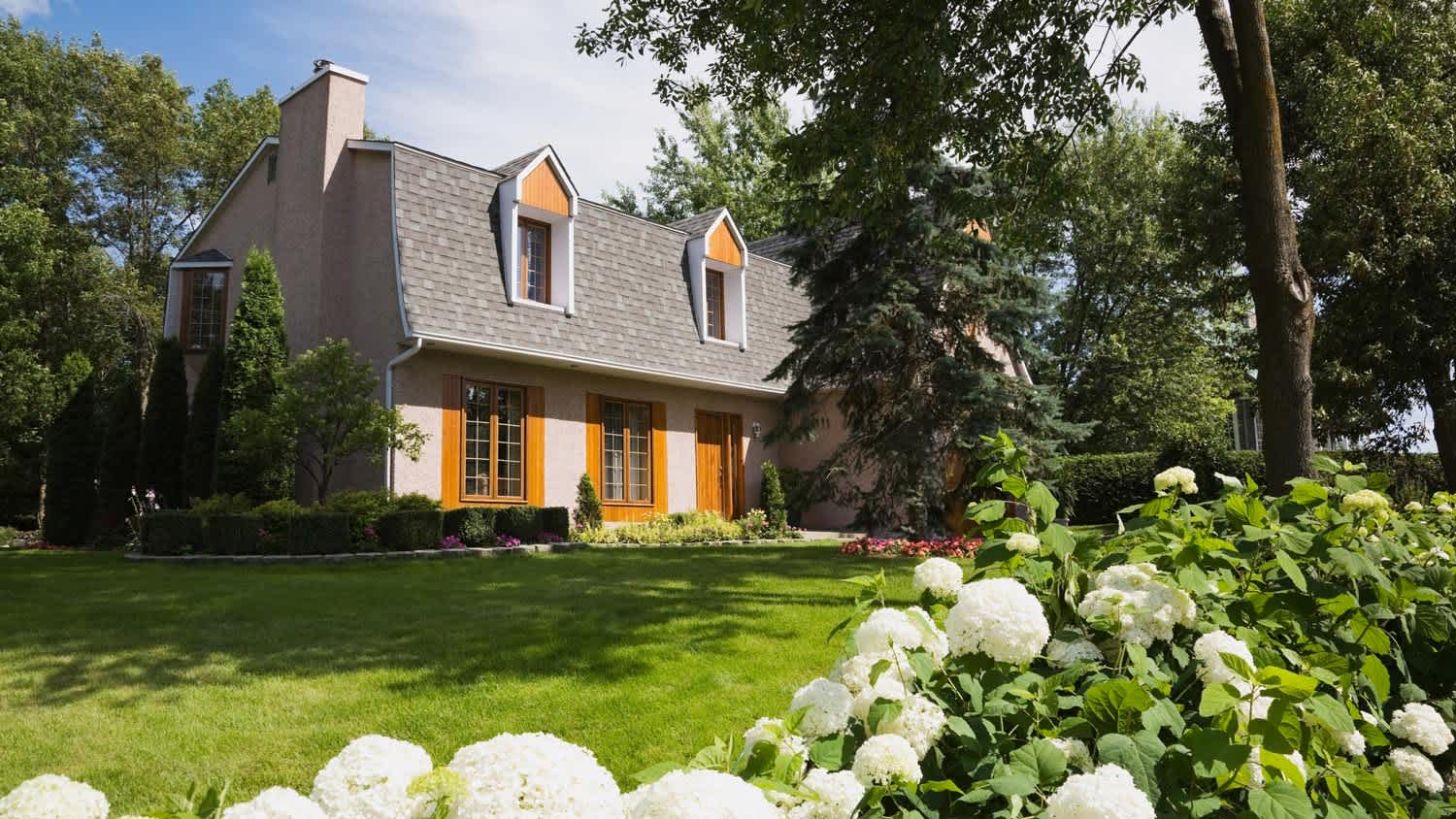 A suburban house with a beautiful garden