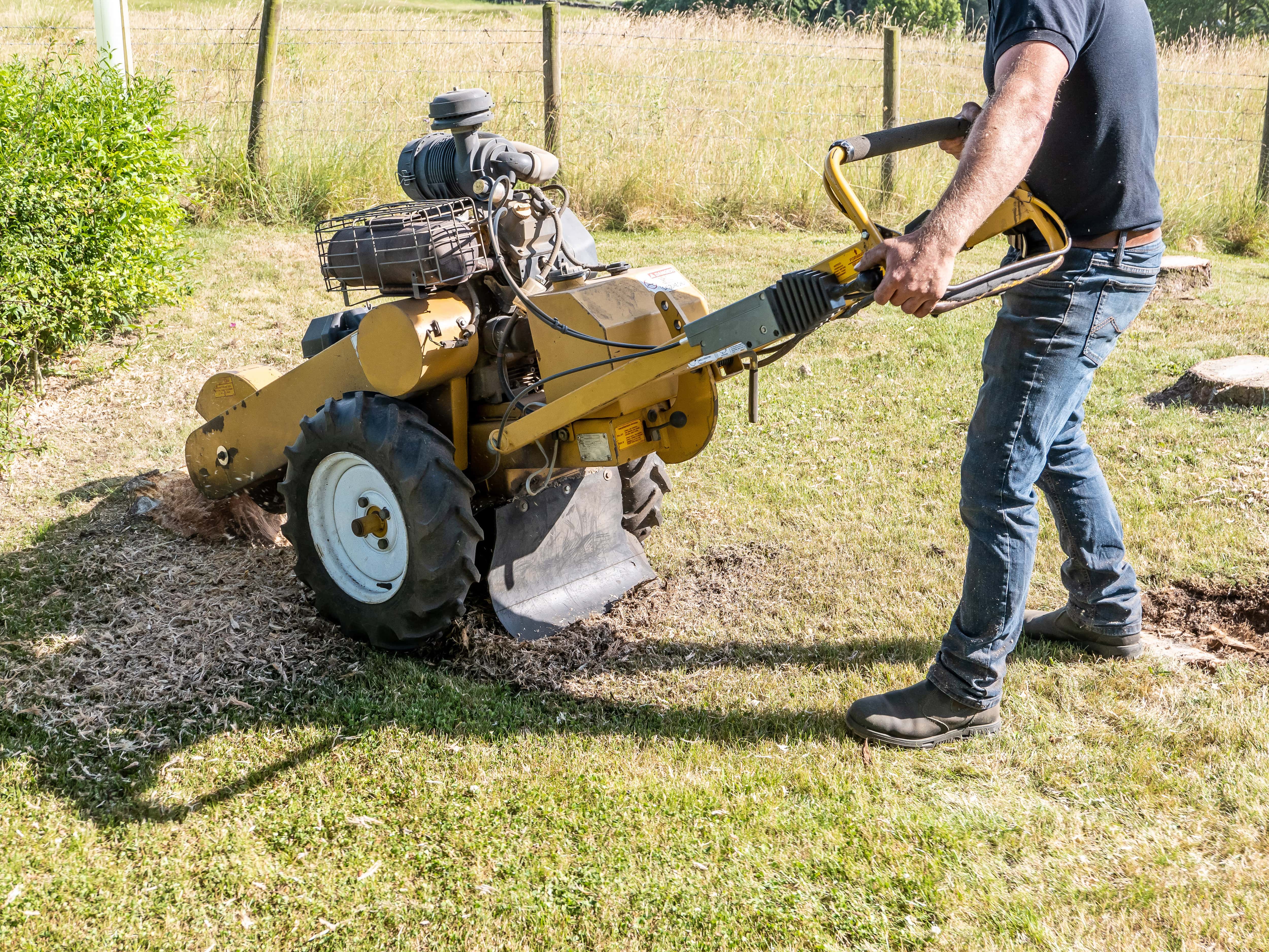 Man using a stump grinder to remove a tree stump from a yard