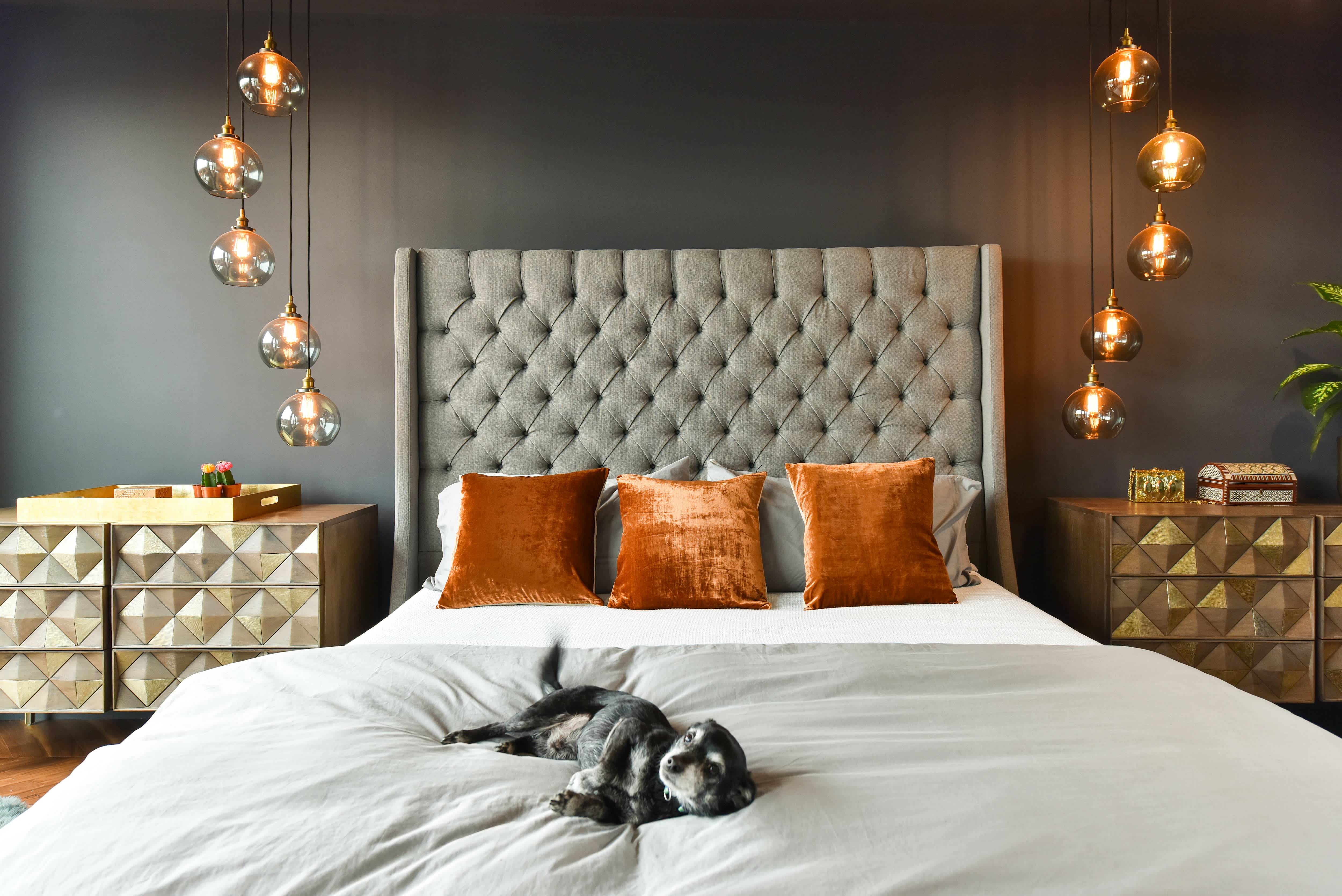 Room with a puppy on the bed and statement light fixtures