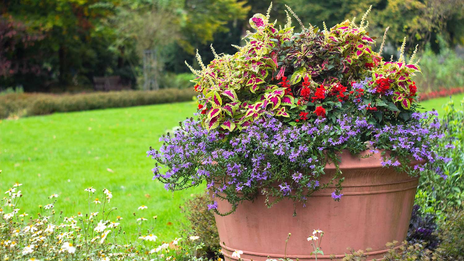 large wooden planter with different kinds of flowers