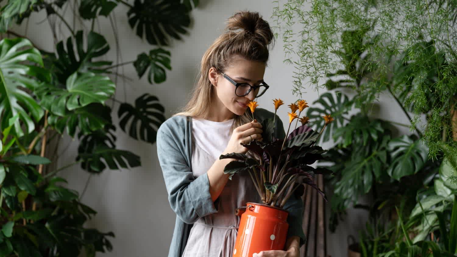 Woman holding a plant