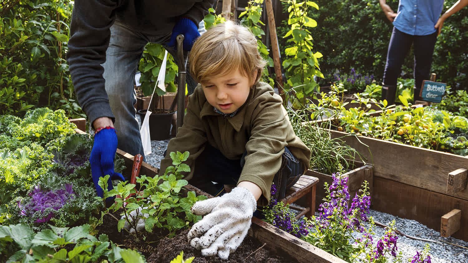 family planting vegetables from backyard garden