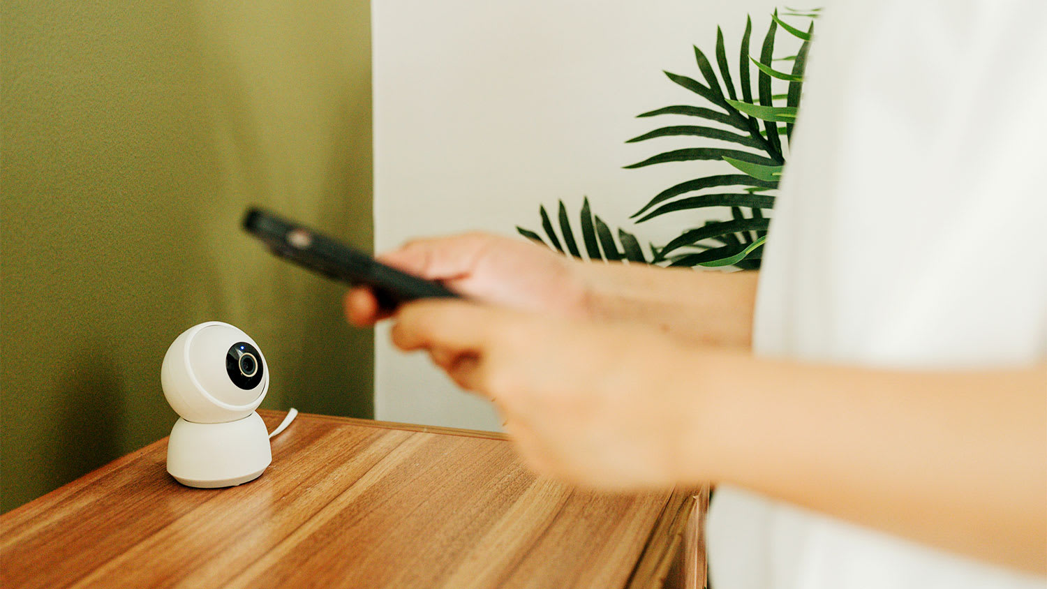 Security camera and smartphone