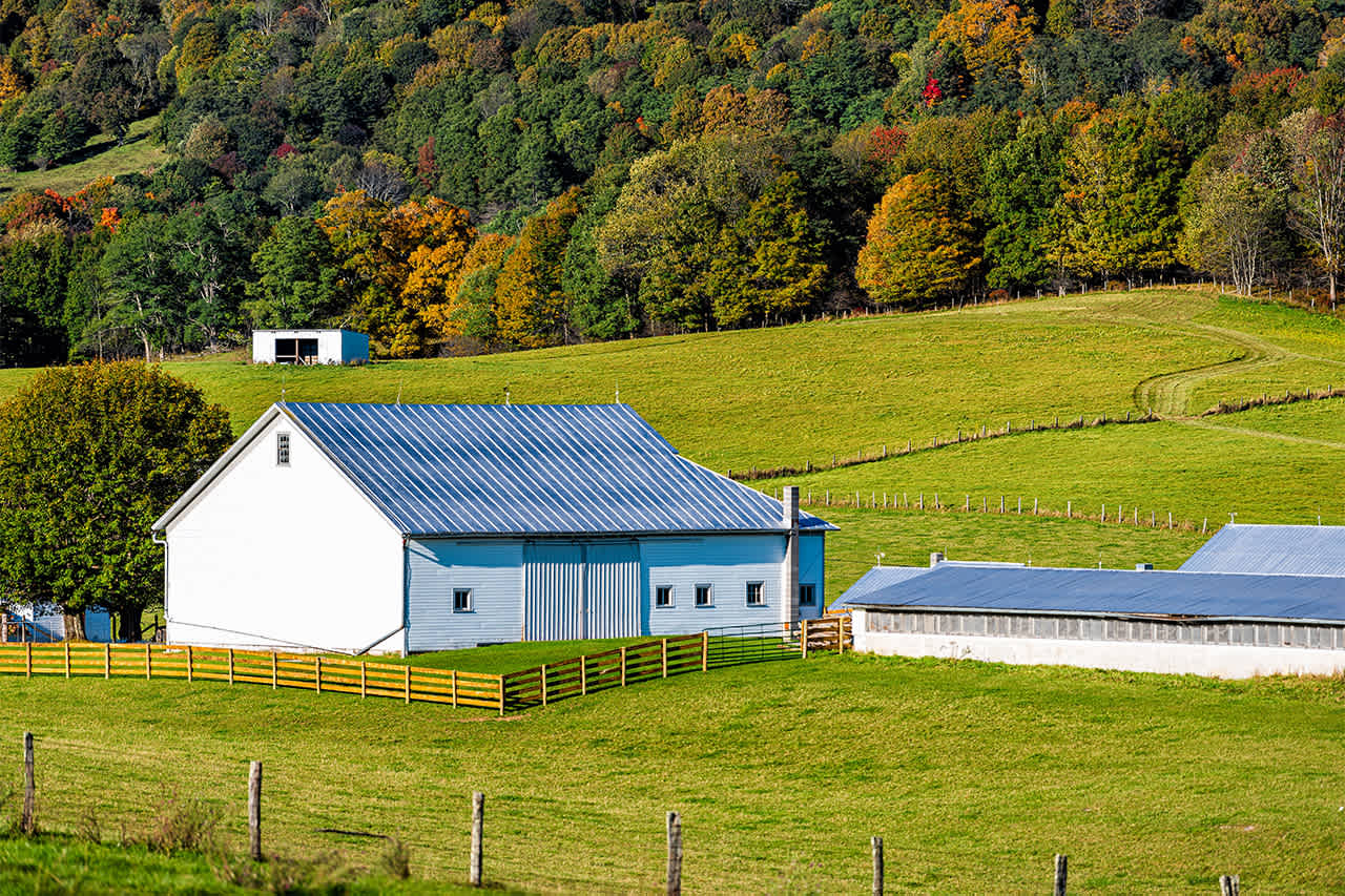 white barn on a farm