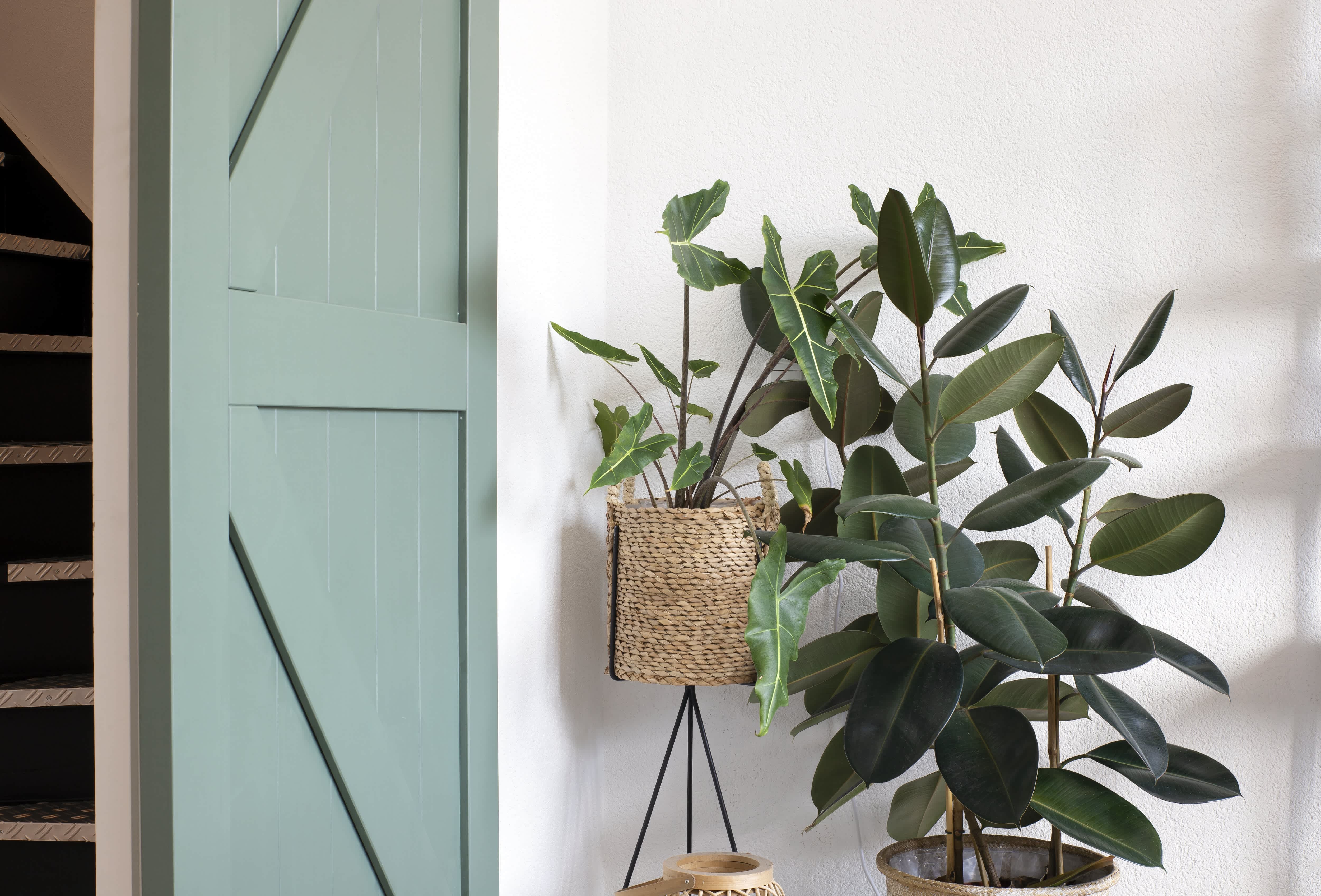 Green painted sliding barn door