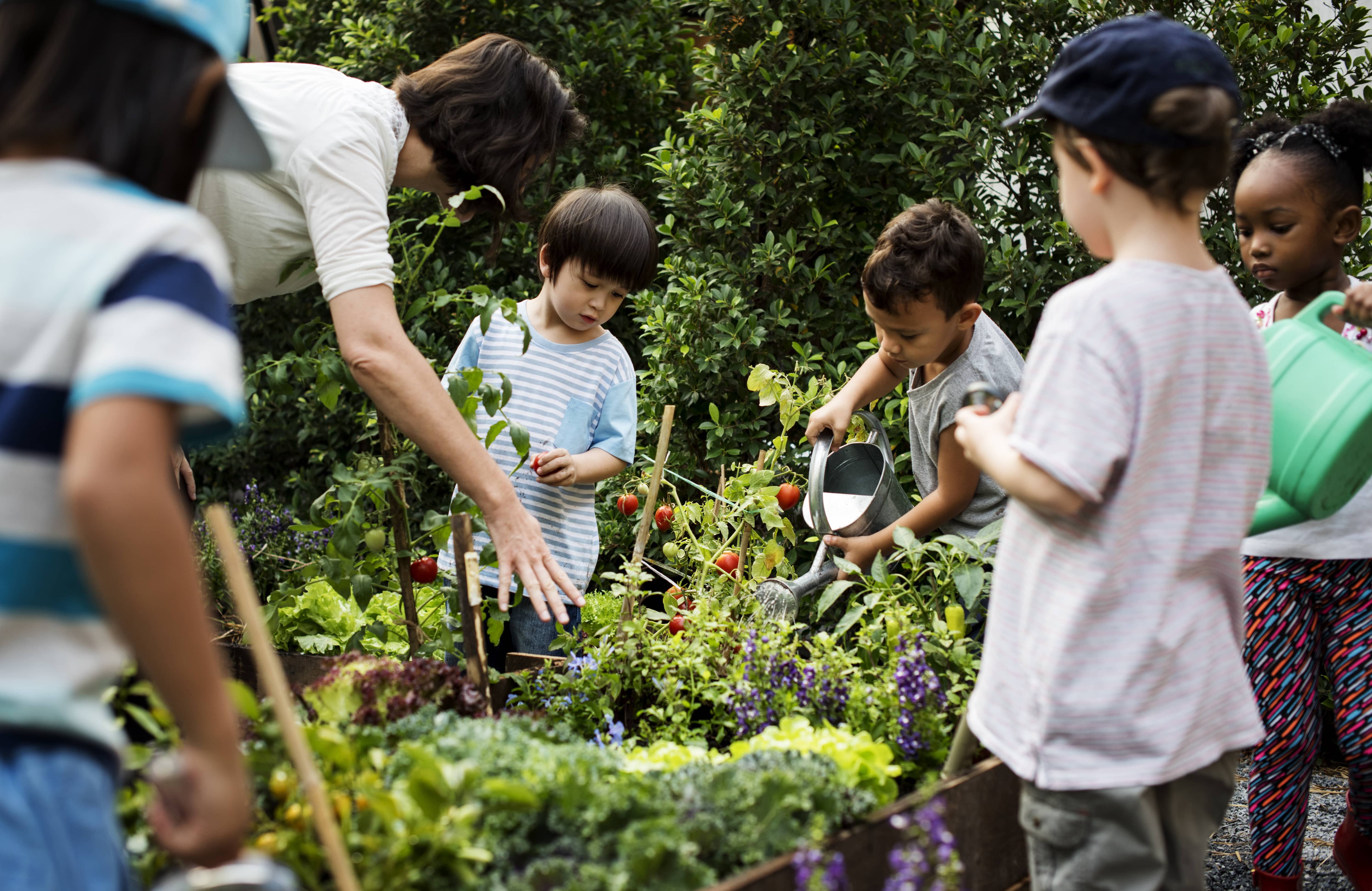 Teacher and kids gardening