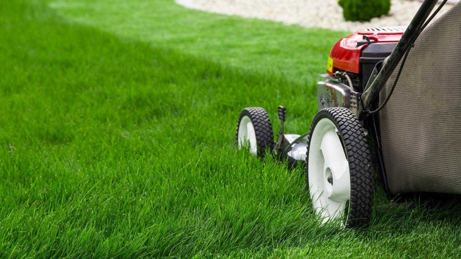 Close-up of a lawn mower