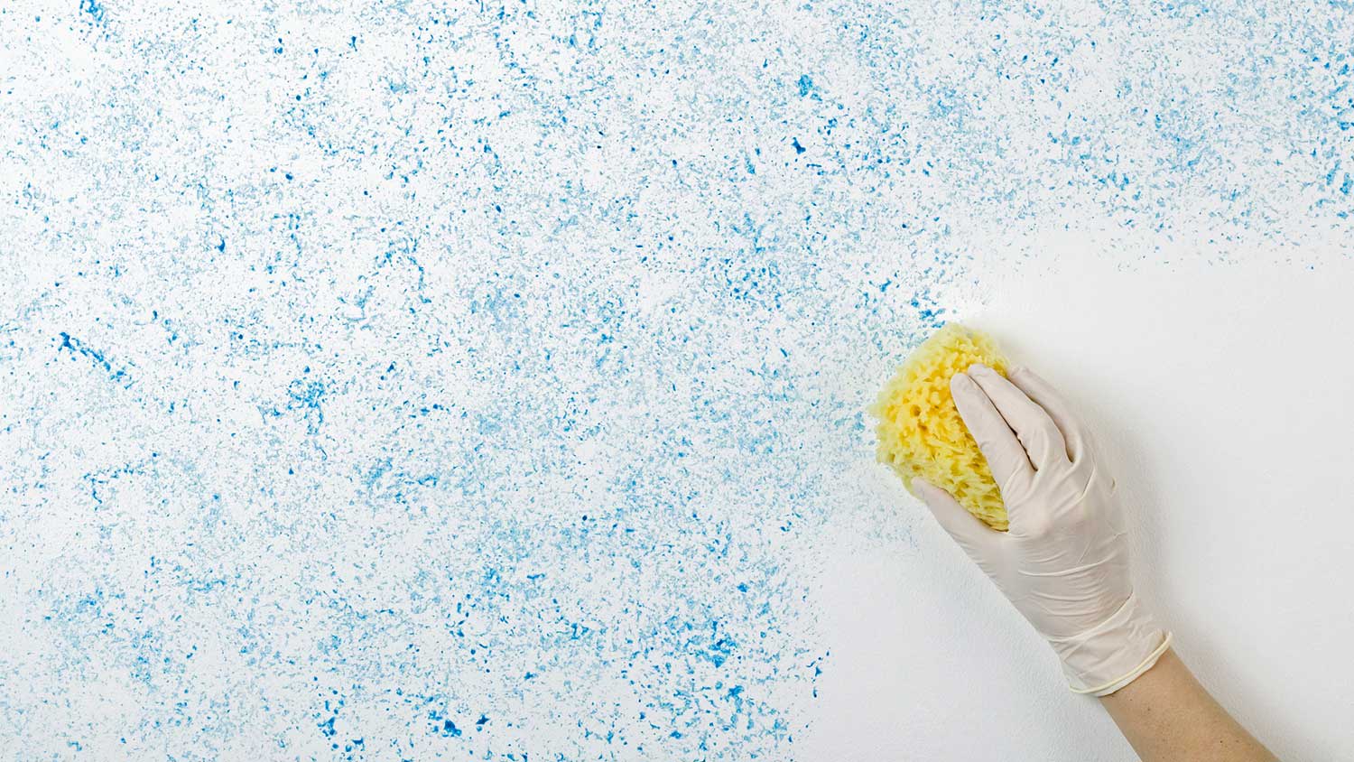 Painting wall with a sponge