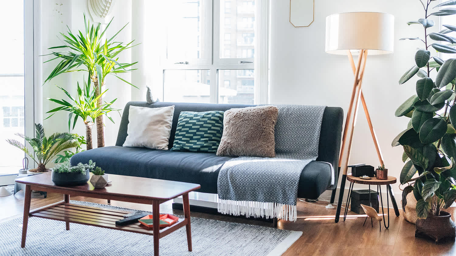 stylish bright living room