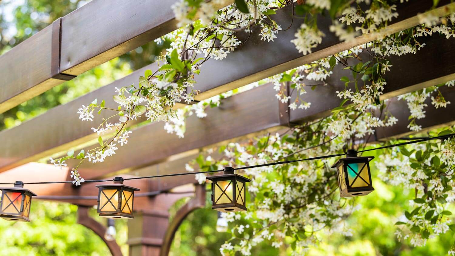 A wooden pergola with flowers climbing on it