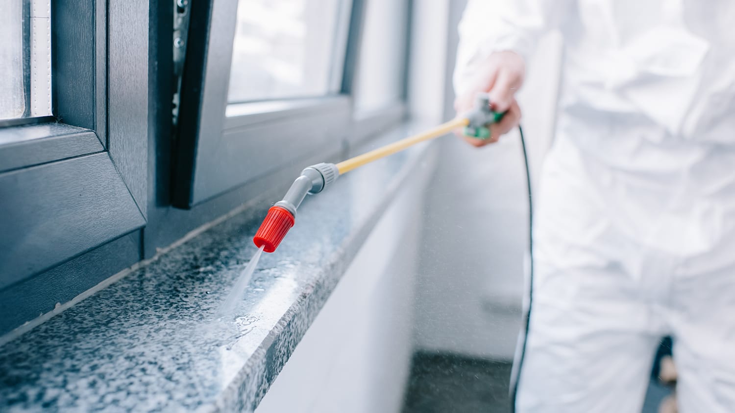 Pest control spraying perimeter of home