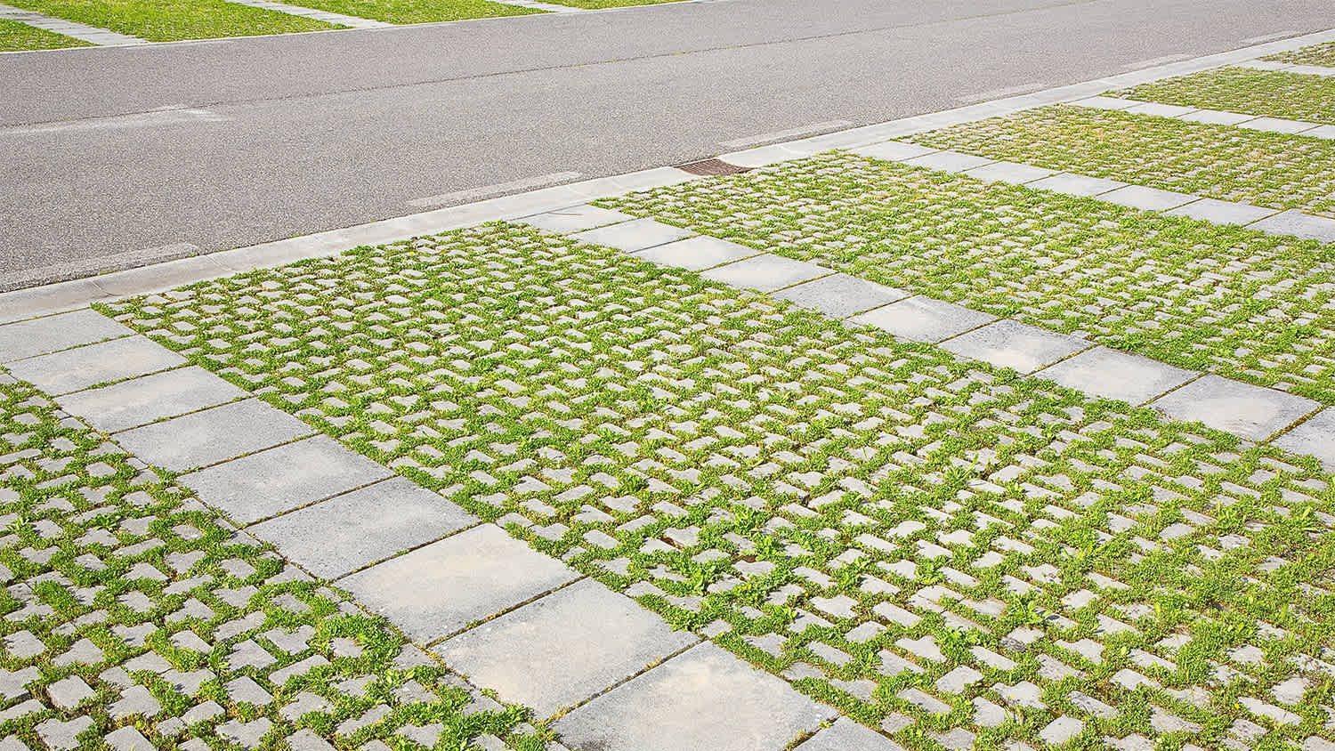 concrete and grass sidewalk