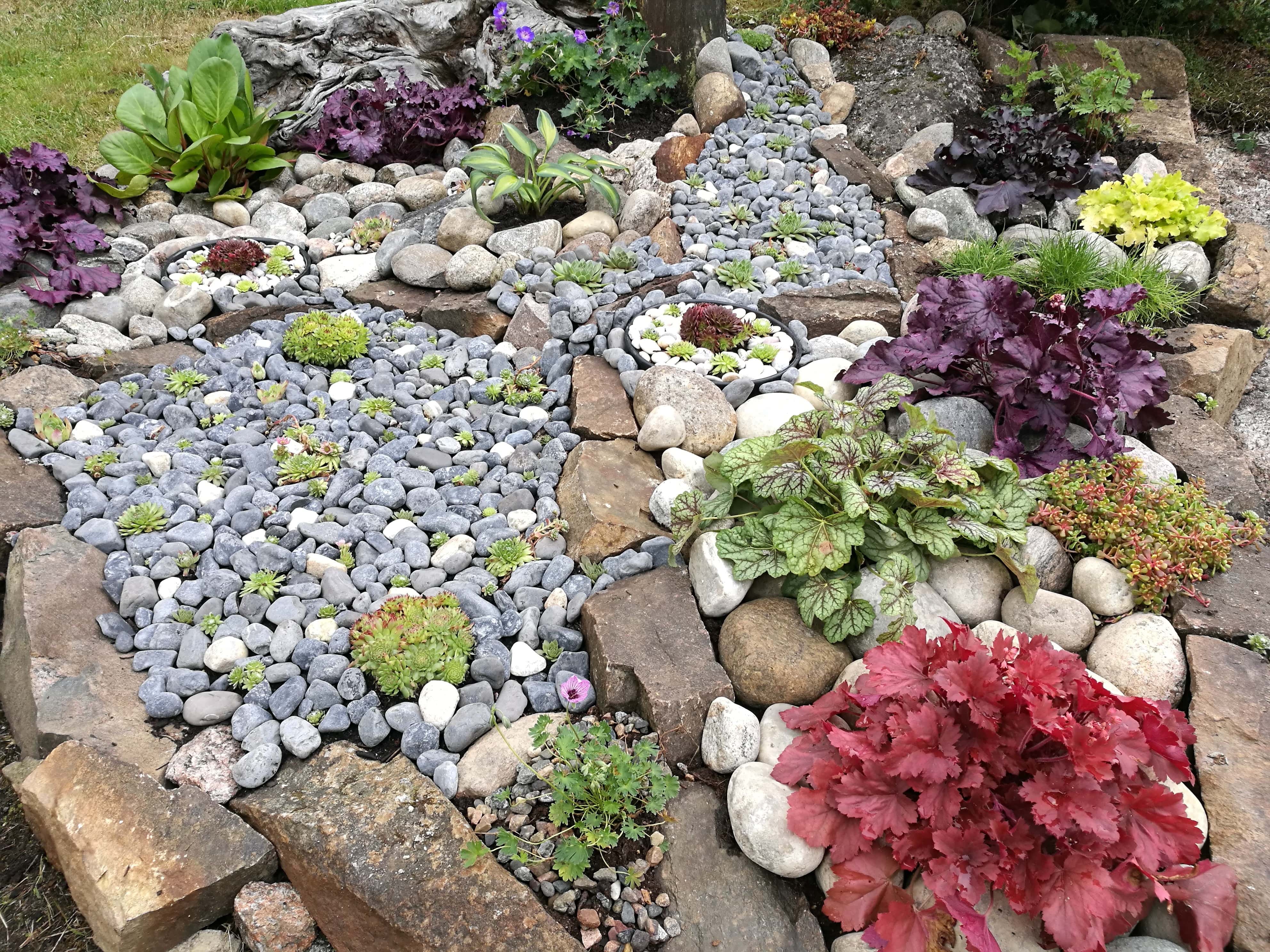Rock garden with different size stones and shrubs throughout