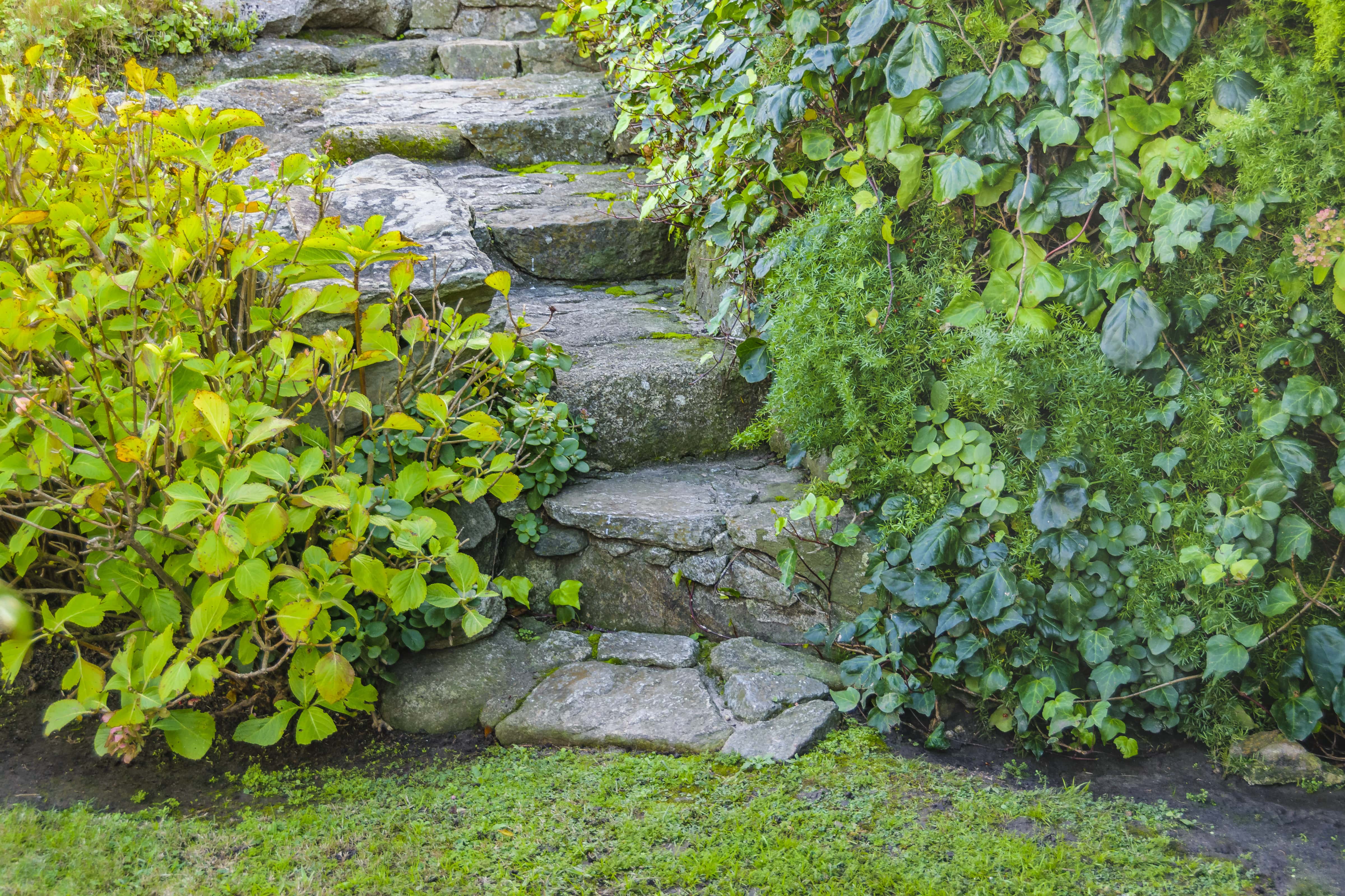 Stone staircase in backyard