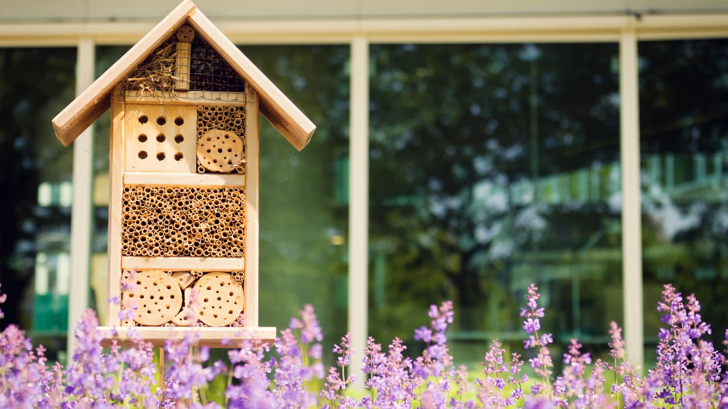 bee hotel surrounded by lavender