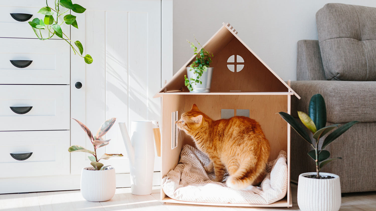 A cat sitting in a wooden cat house