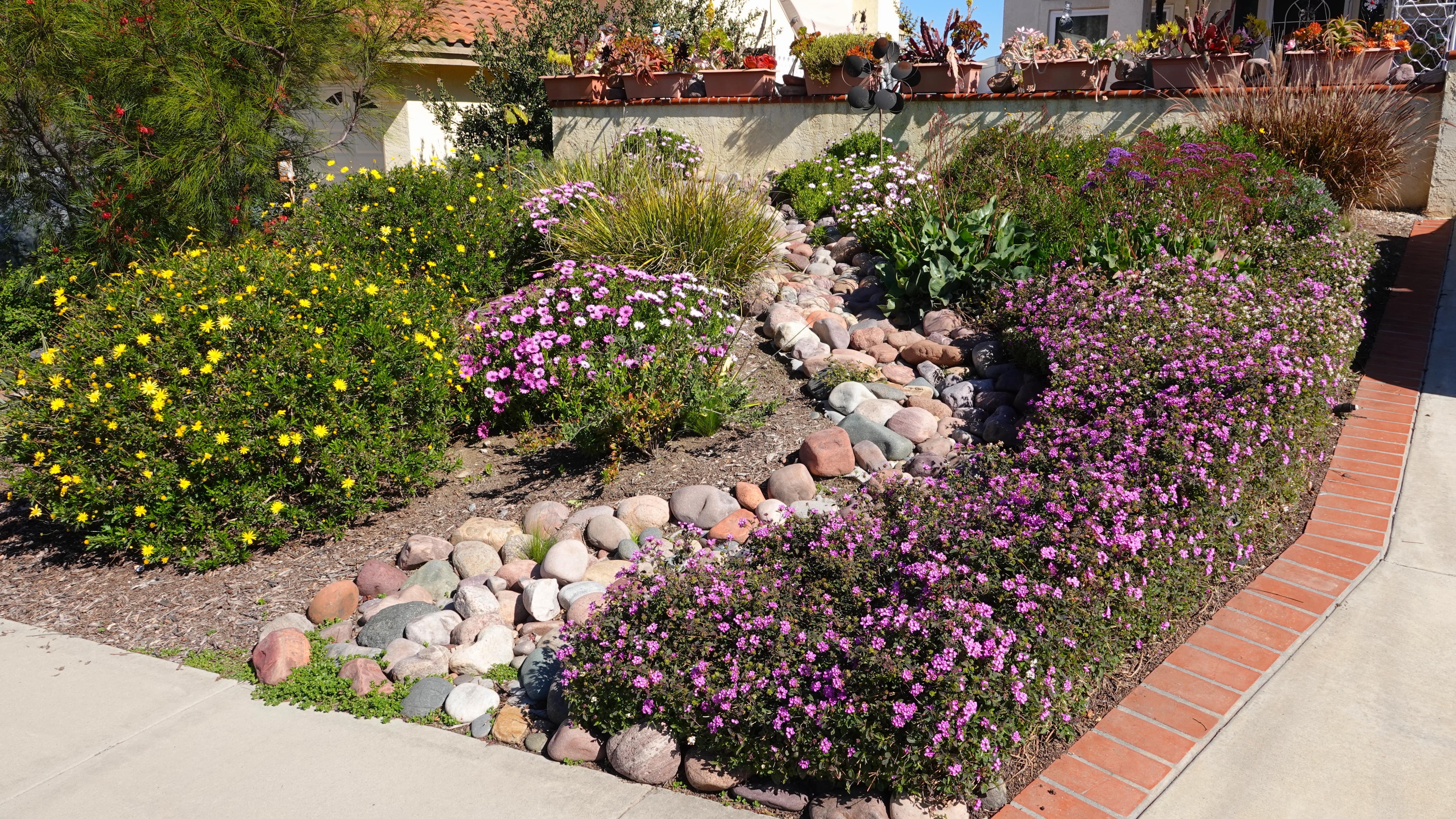 Front yard rock garden and flowers