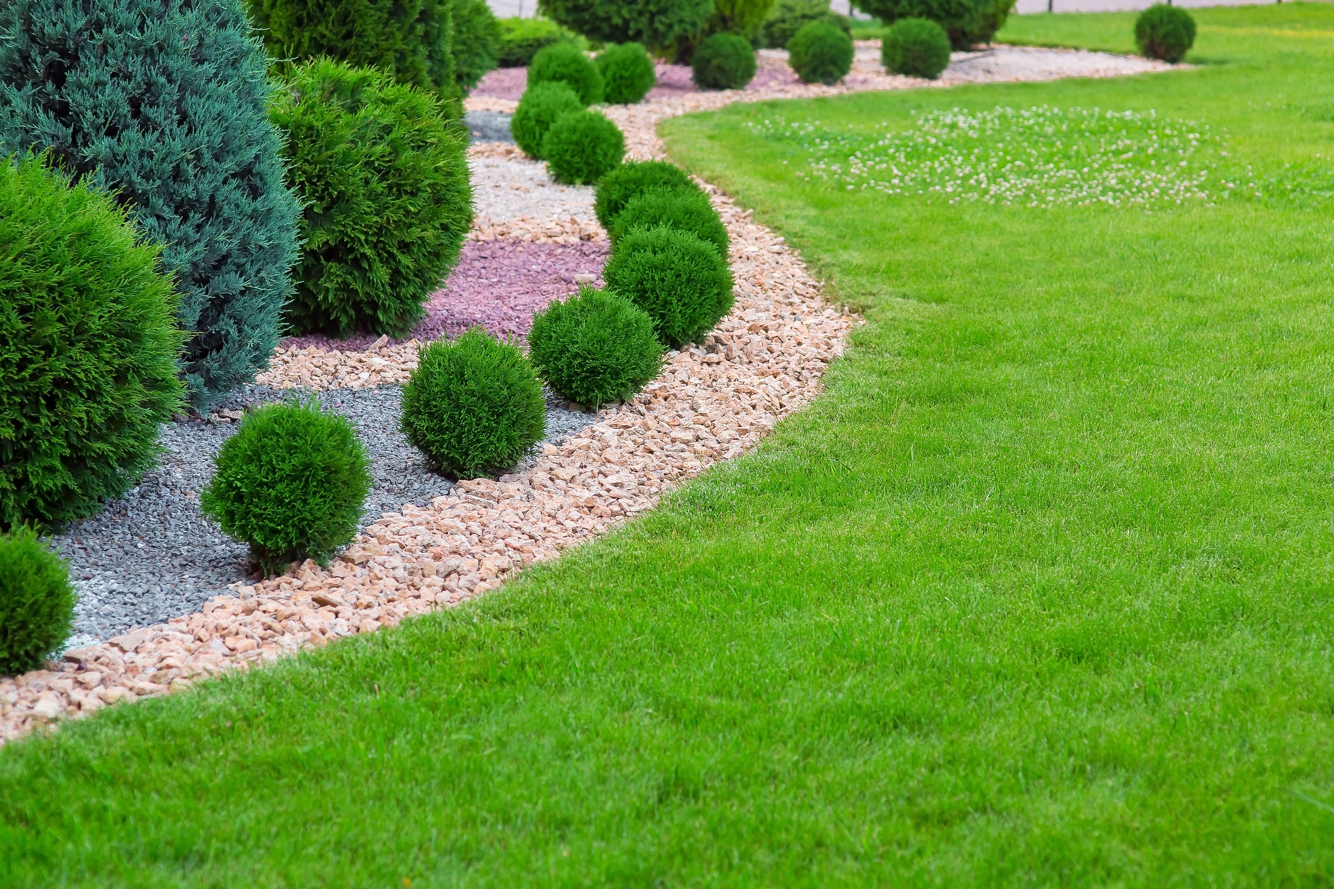Stone rock bed with shrubs