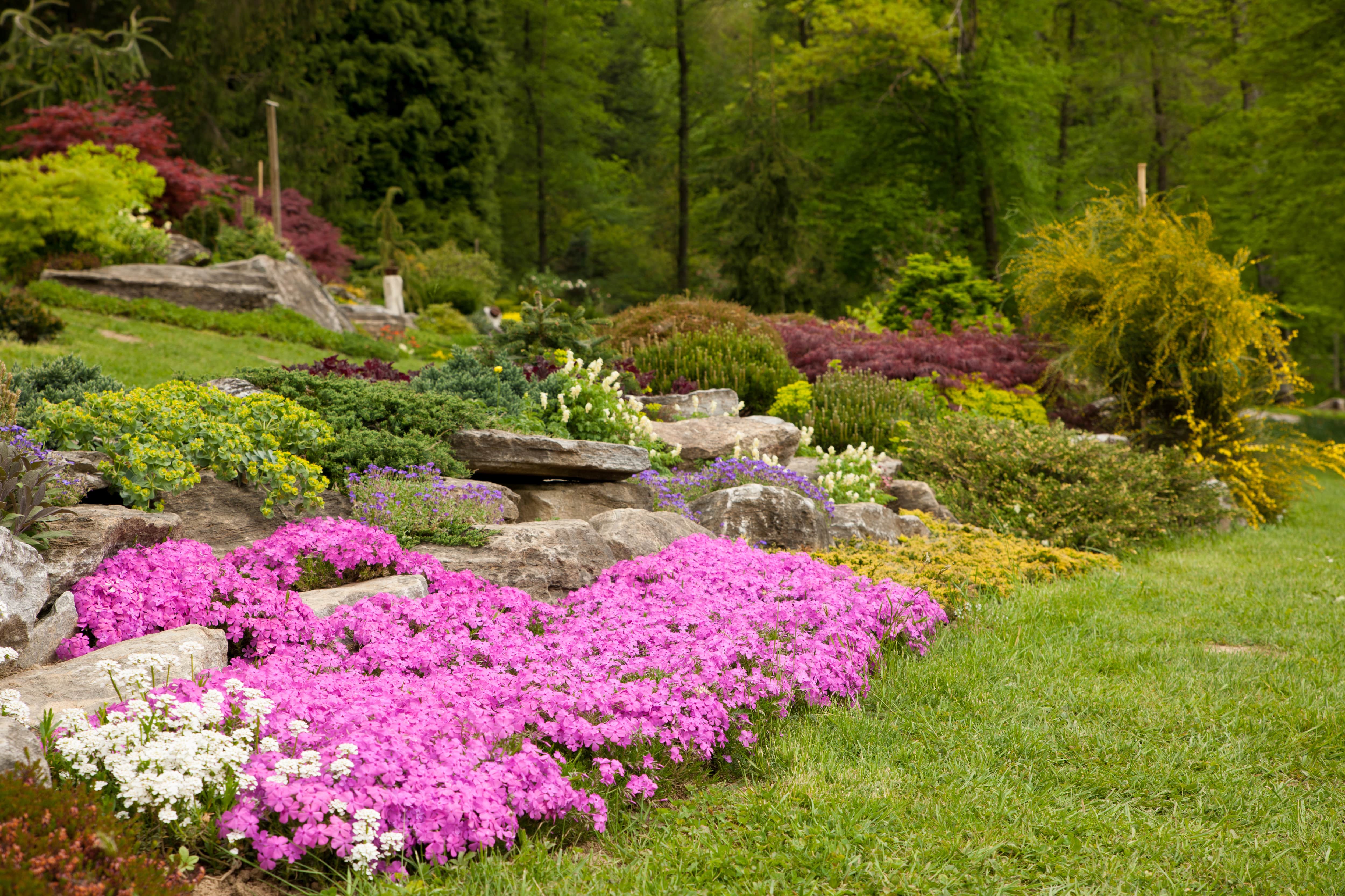 boulders on the side of concrete paver steps landscaping
