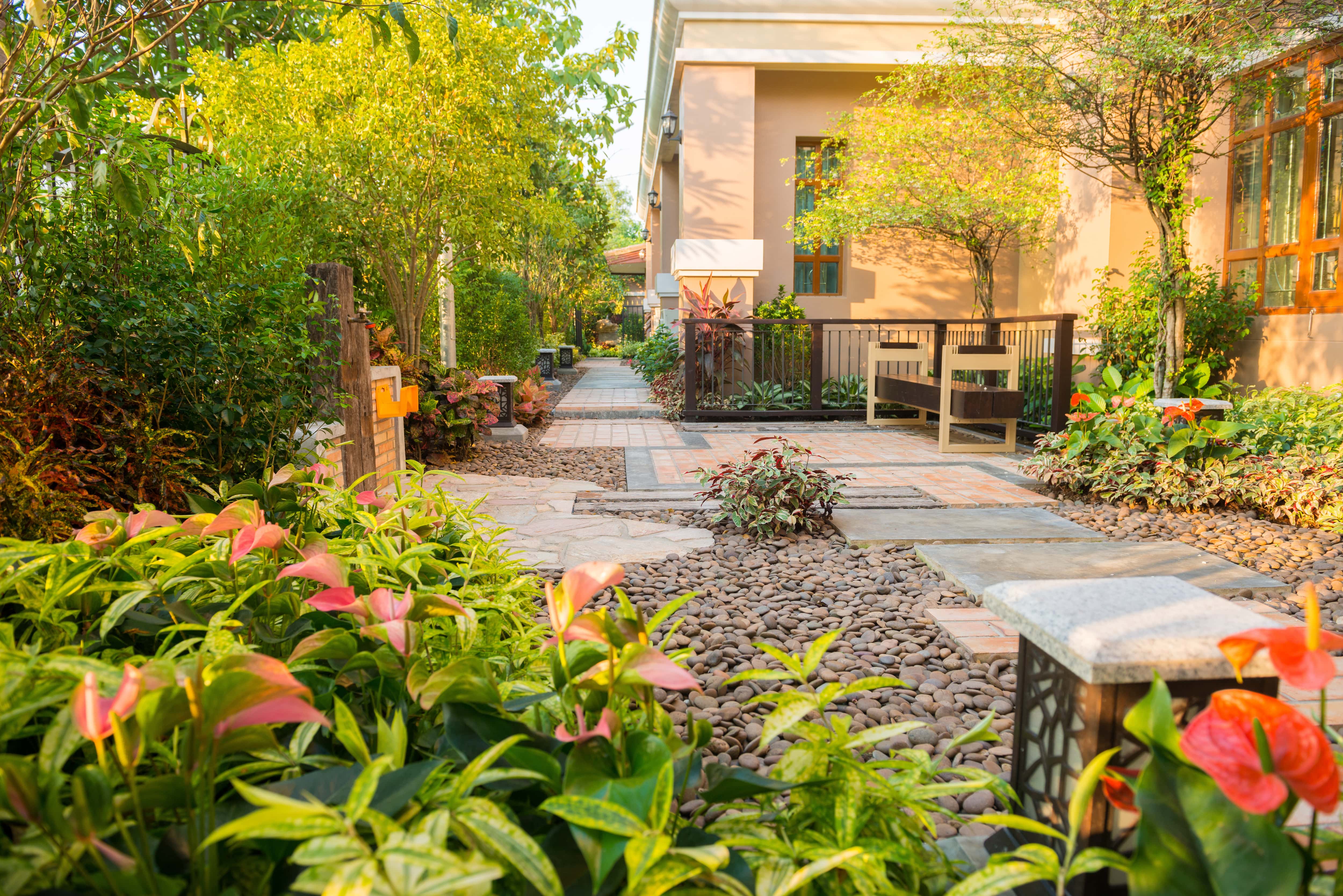 Modern outdoor landscaping with stone path