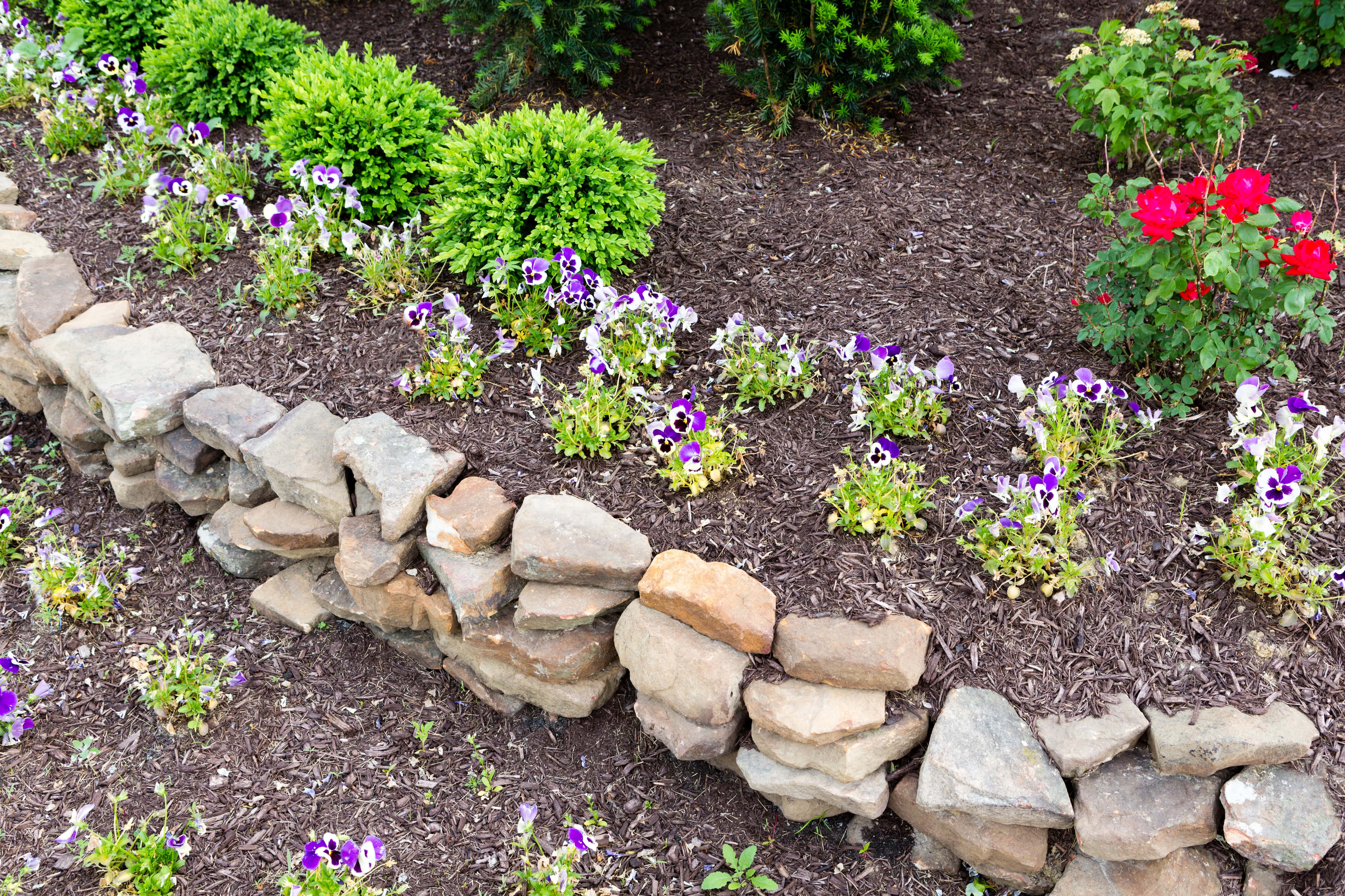Rock garden bed with mulch and flowers