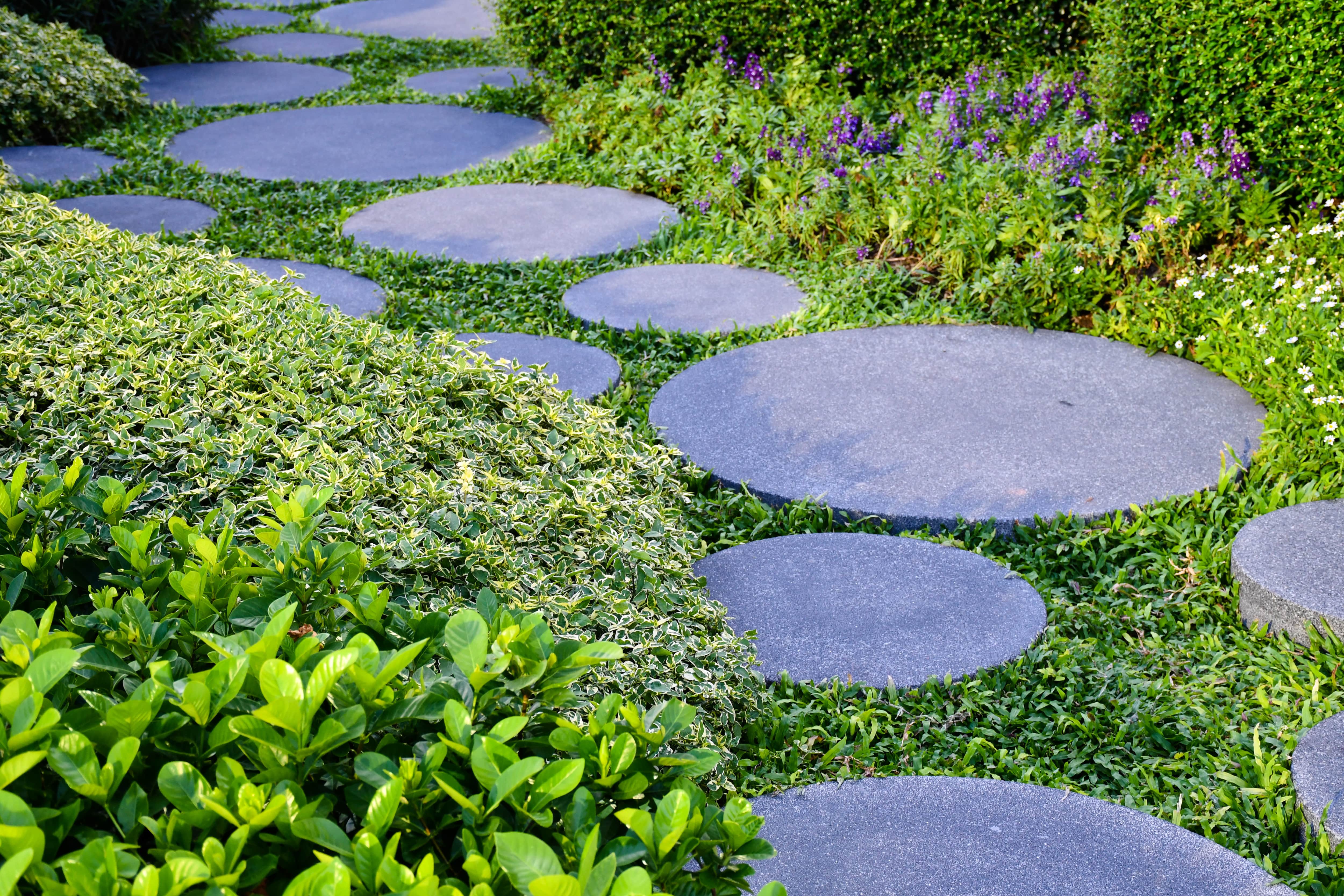 Circular stepping stones creating a walking path through a yard