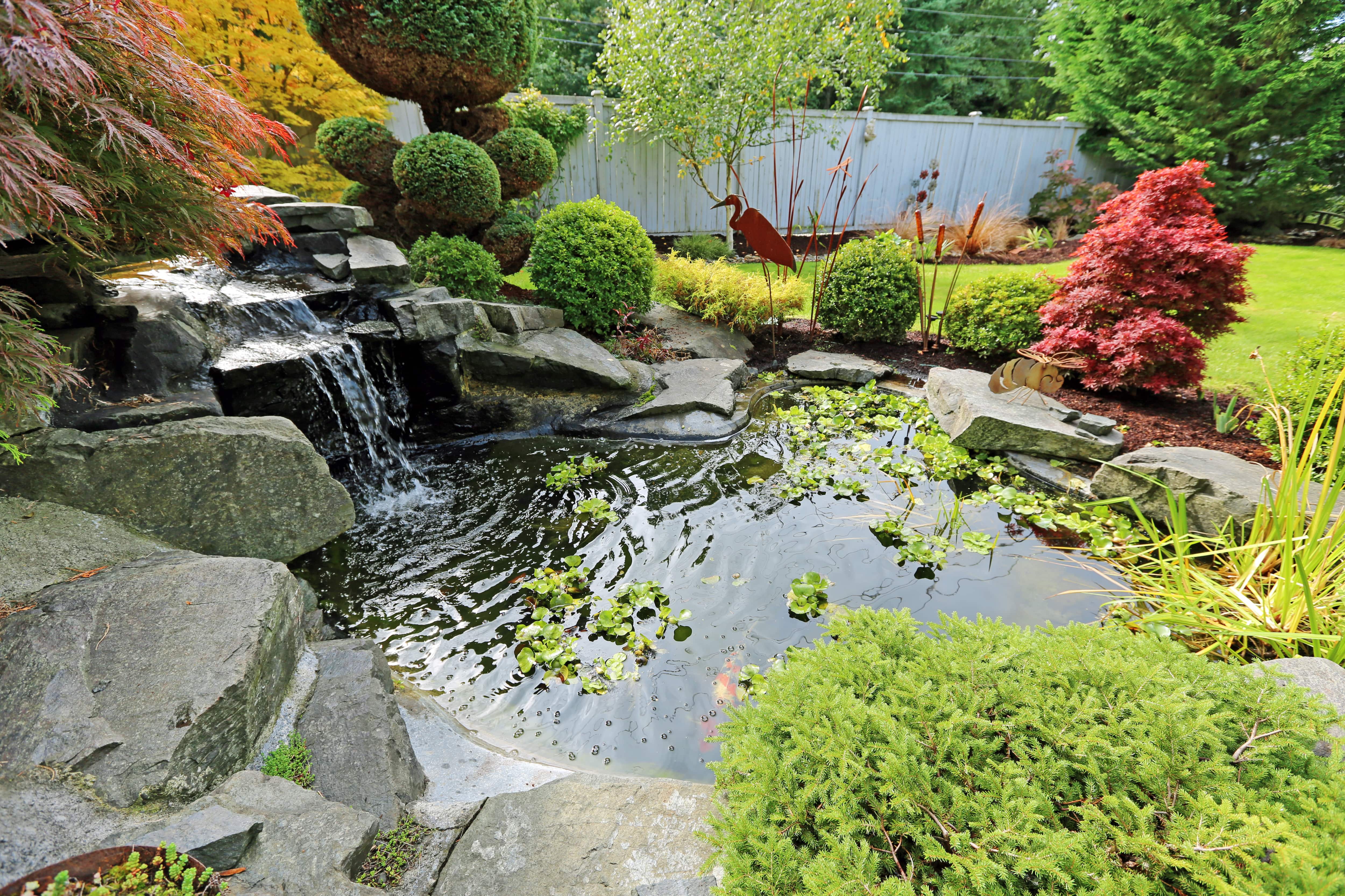 Rock waterfall and pond in a backyard
