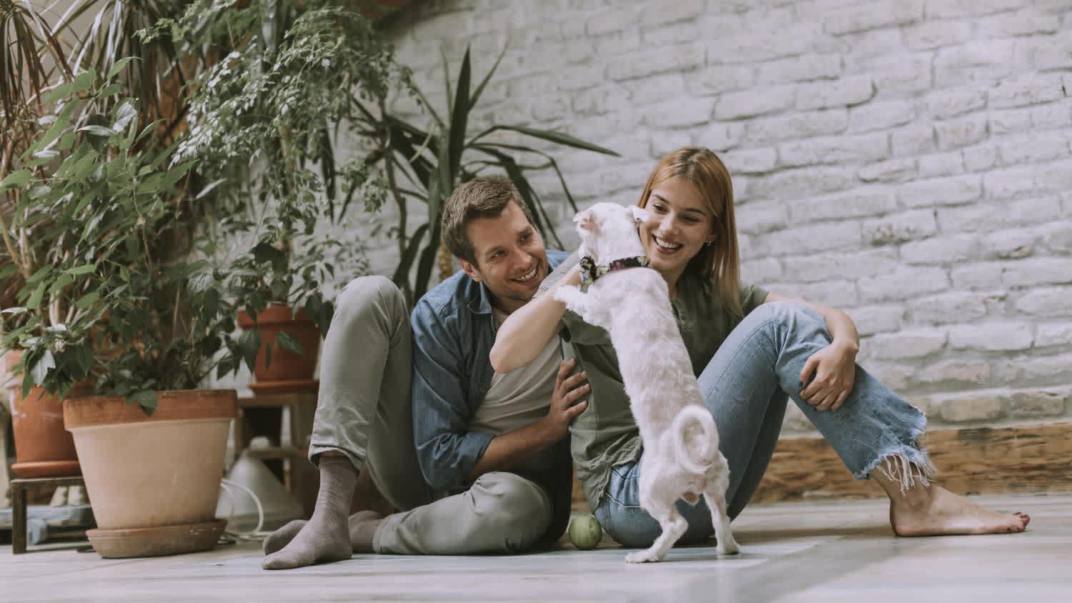 Couple playing with the dog