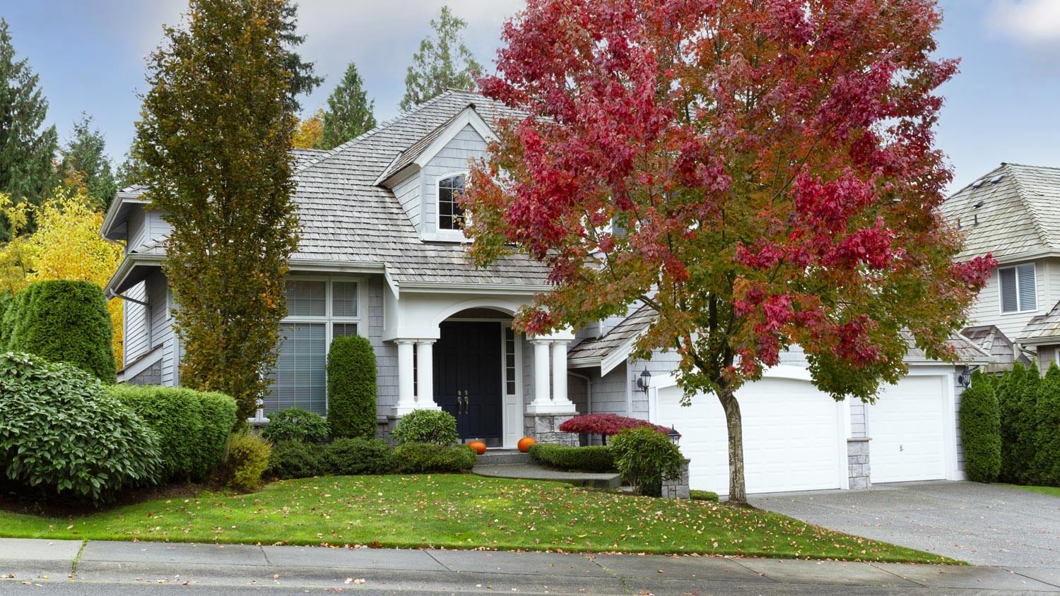 A house’s landscape with shrubs and trees in autumn