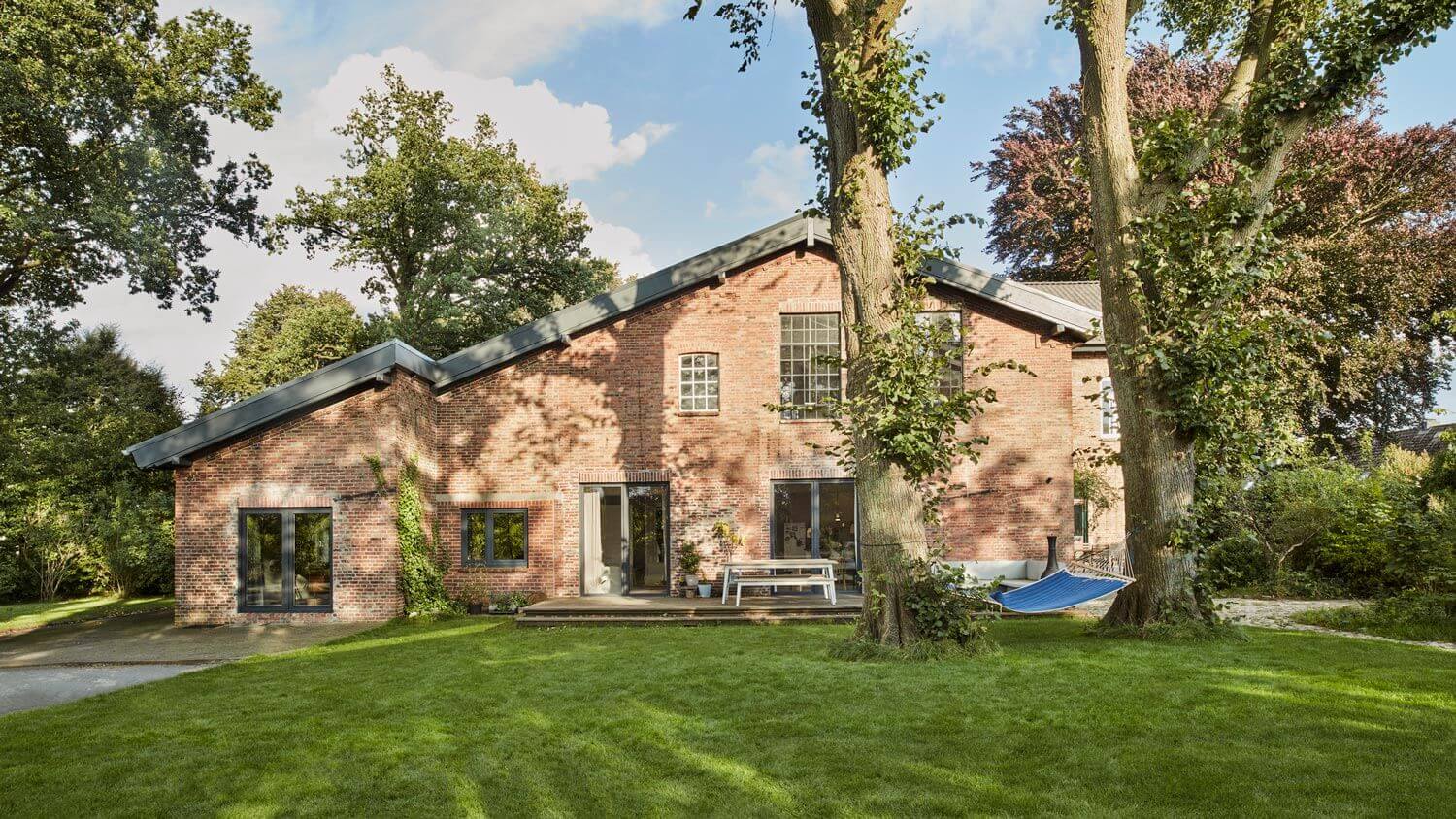 Two big trees in the backyard of a house