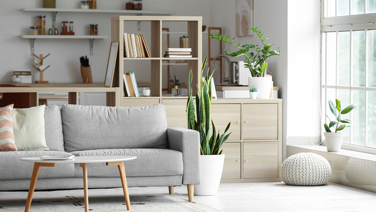 A bookshelf dividing the living room from the kitchen