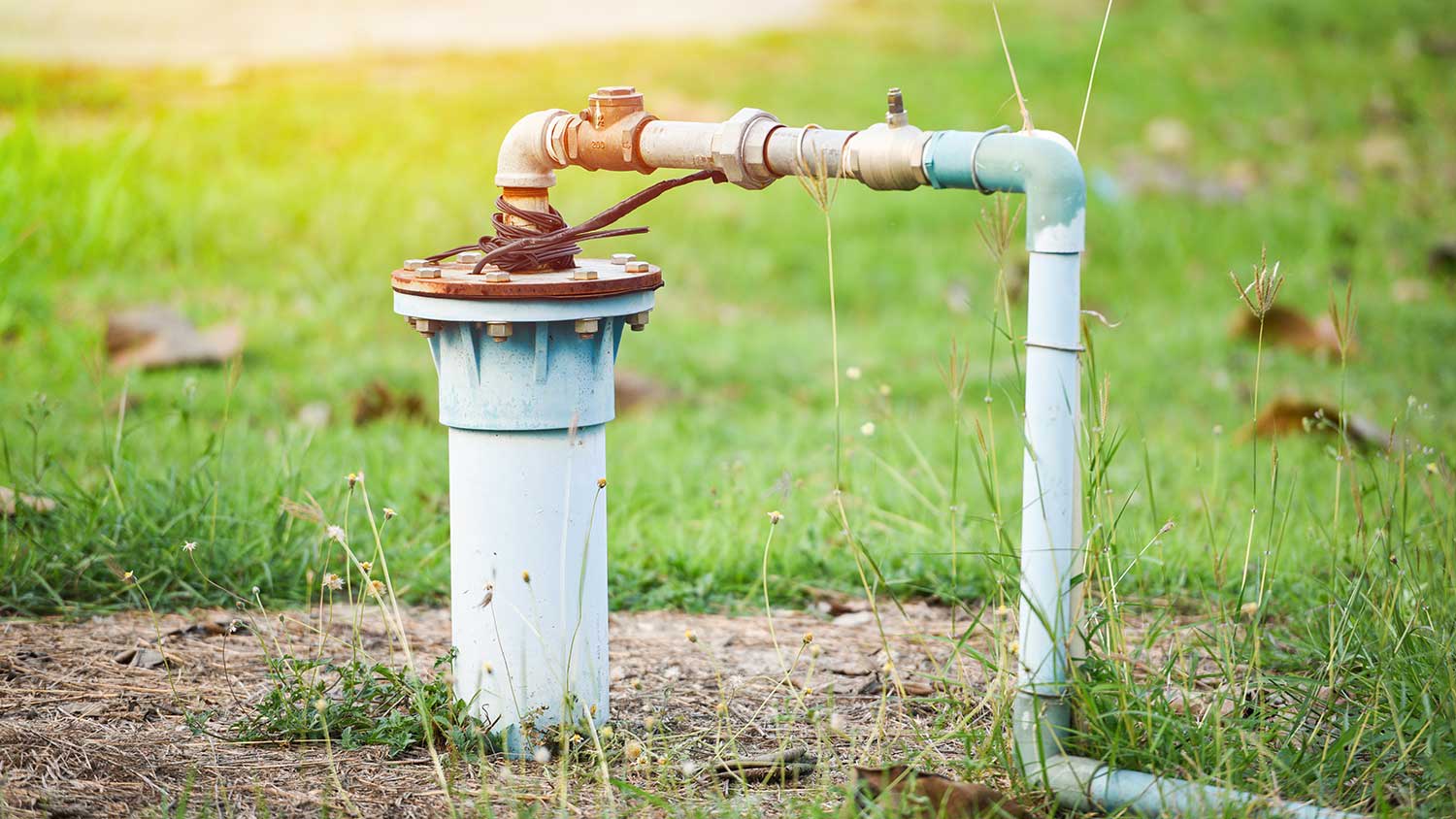 Well pump system in the yard