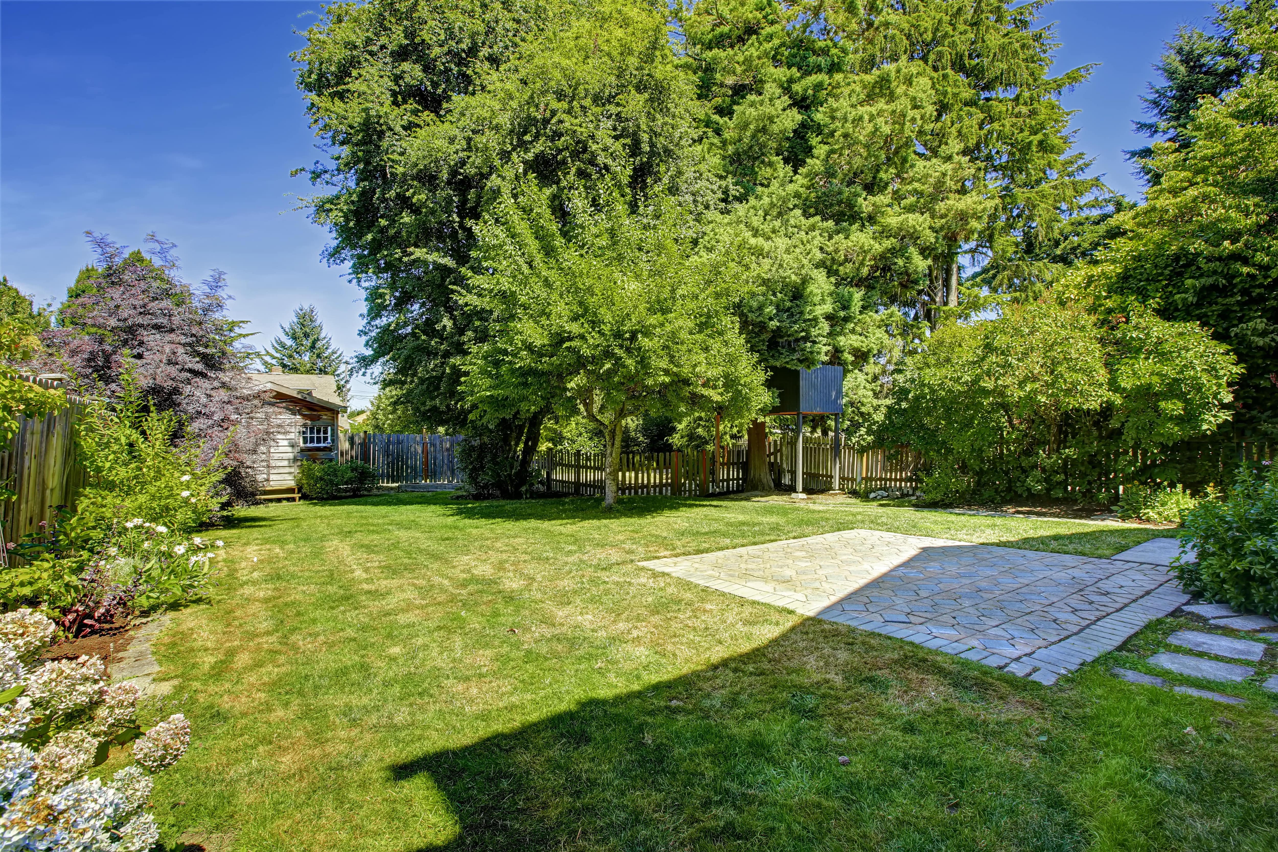 A residential backyard with a wood fence and shed