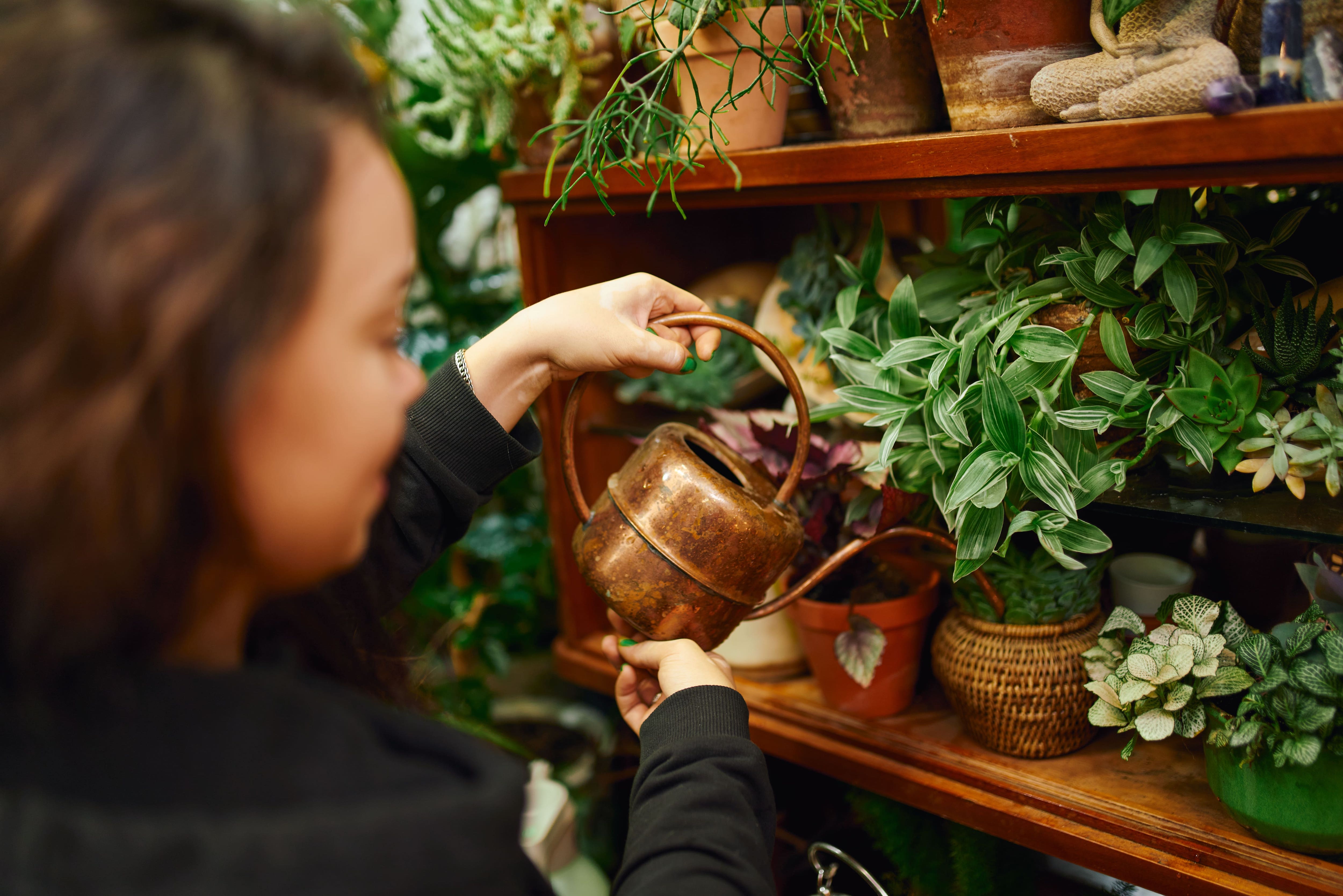A woman watering plants on a shelf